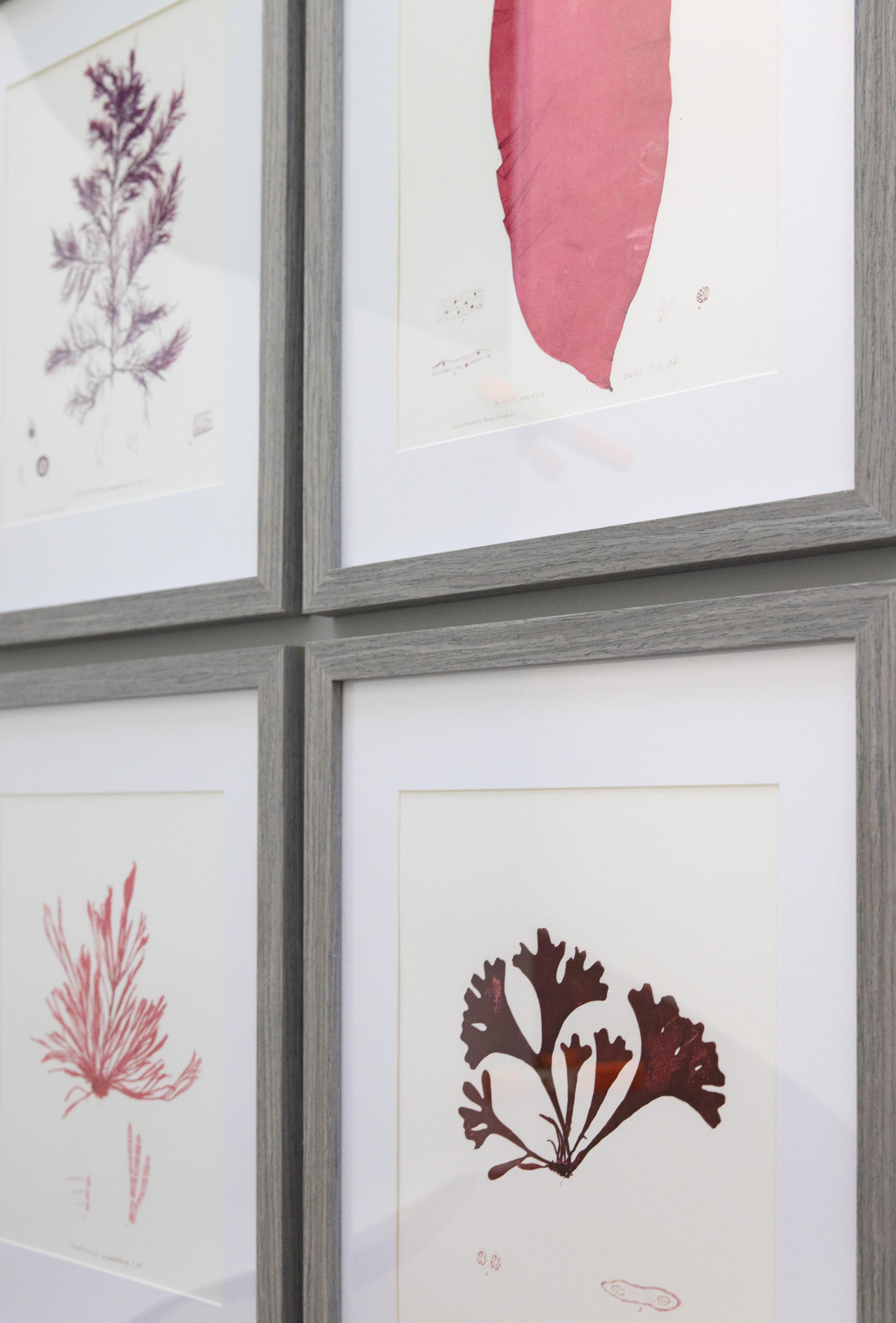 Archival giclée prints from the much celebrated 