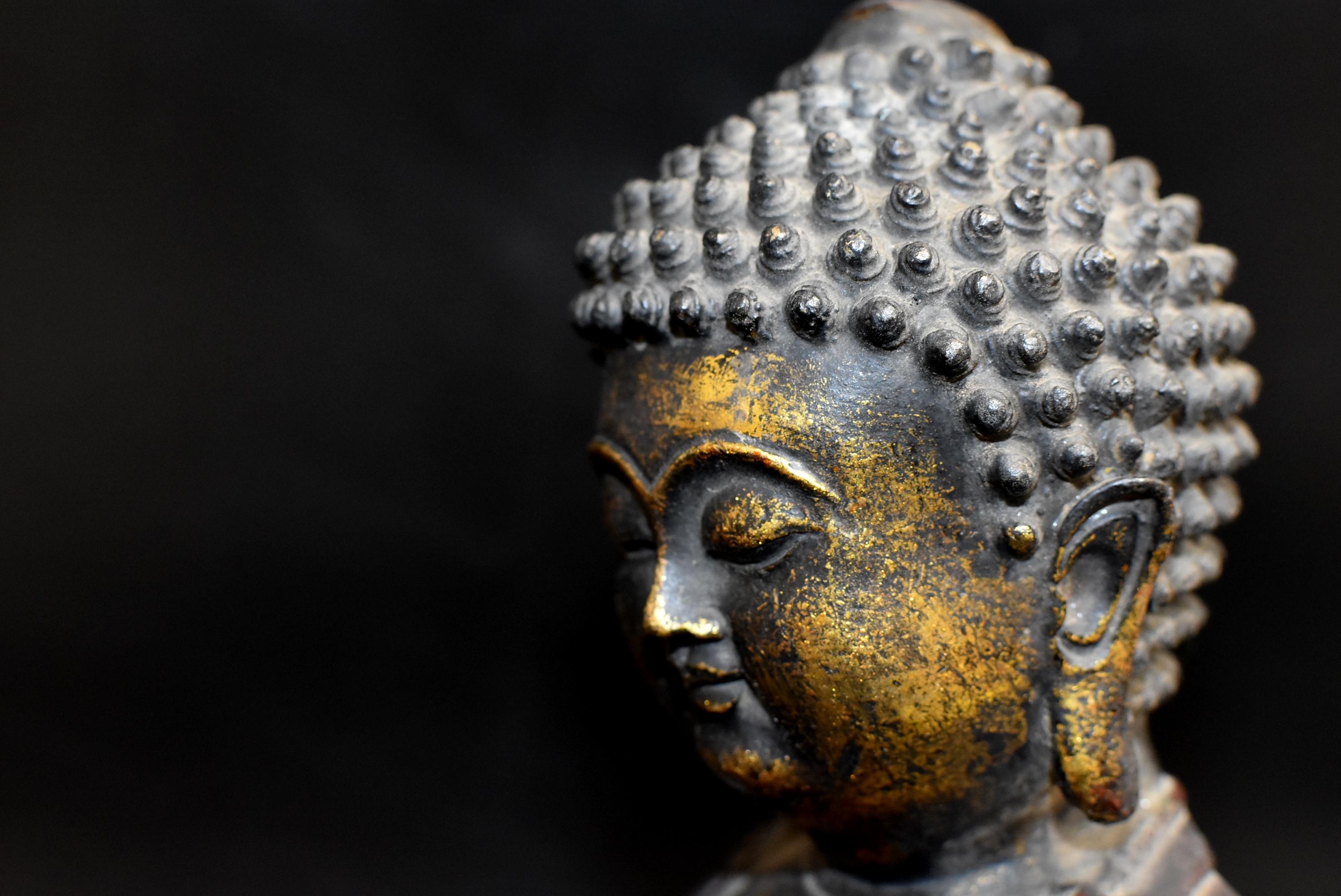 Bronze Buddha on Lotus Throne 11