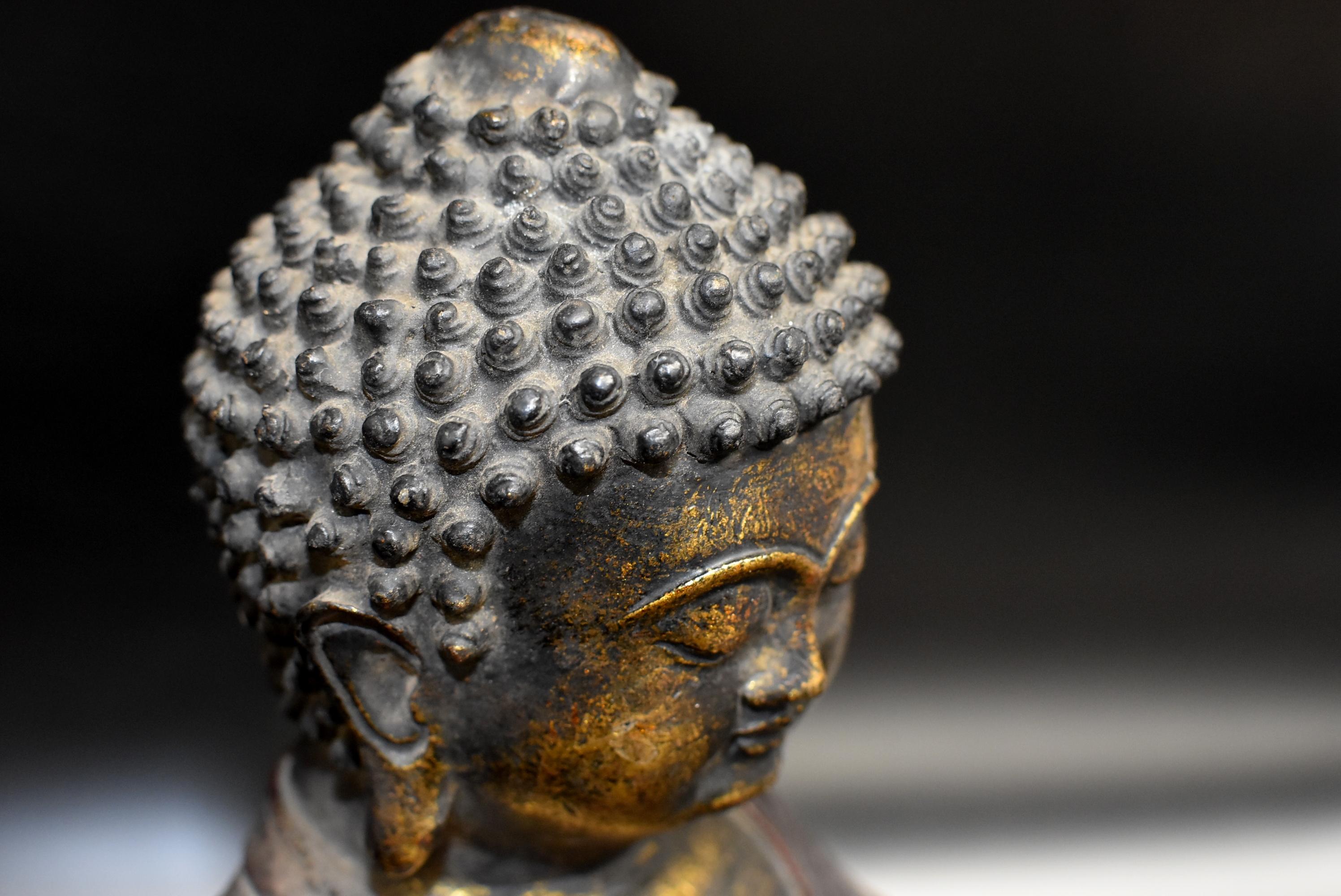 Bronze Buddha on Lotus Throne 4