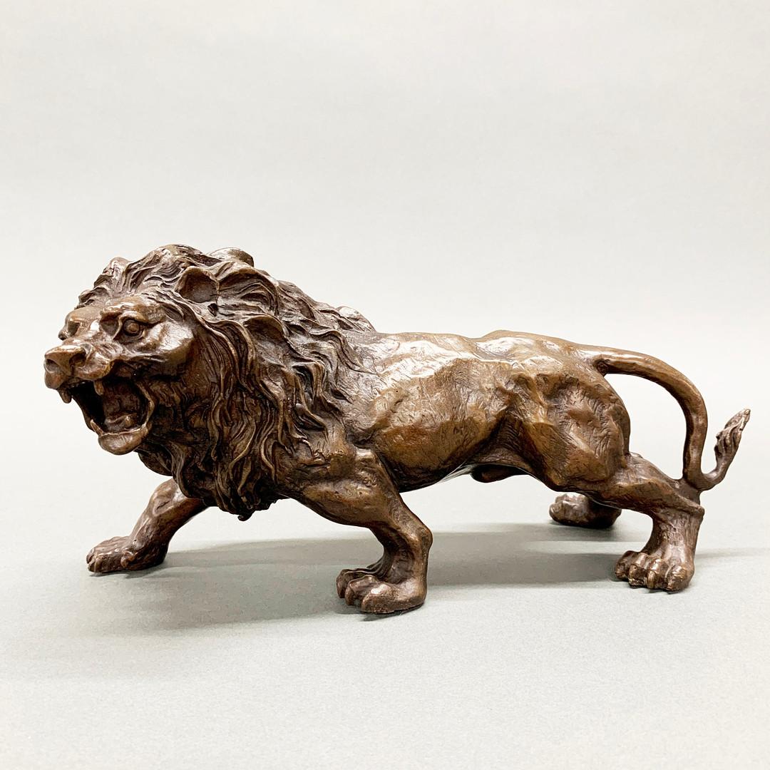 Il s'agit d'une sculpture de lion en bronze antique, puissante et finement moulée, datant très probablement du XIXe siècle. Cette pièce représente le roi des animaux dans une pose dynamique et imposante, avançant à grands pas, les muscles tendus et