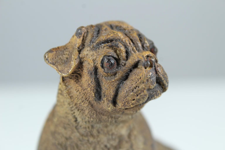 ビエナブロンズ　パグ　1890年代 Antique Bronze Pug Sculpture, Early 20th Century For Sale at