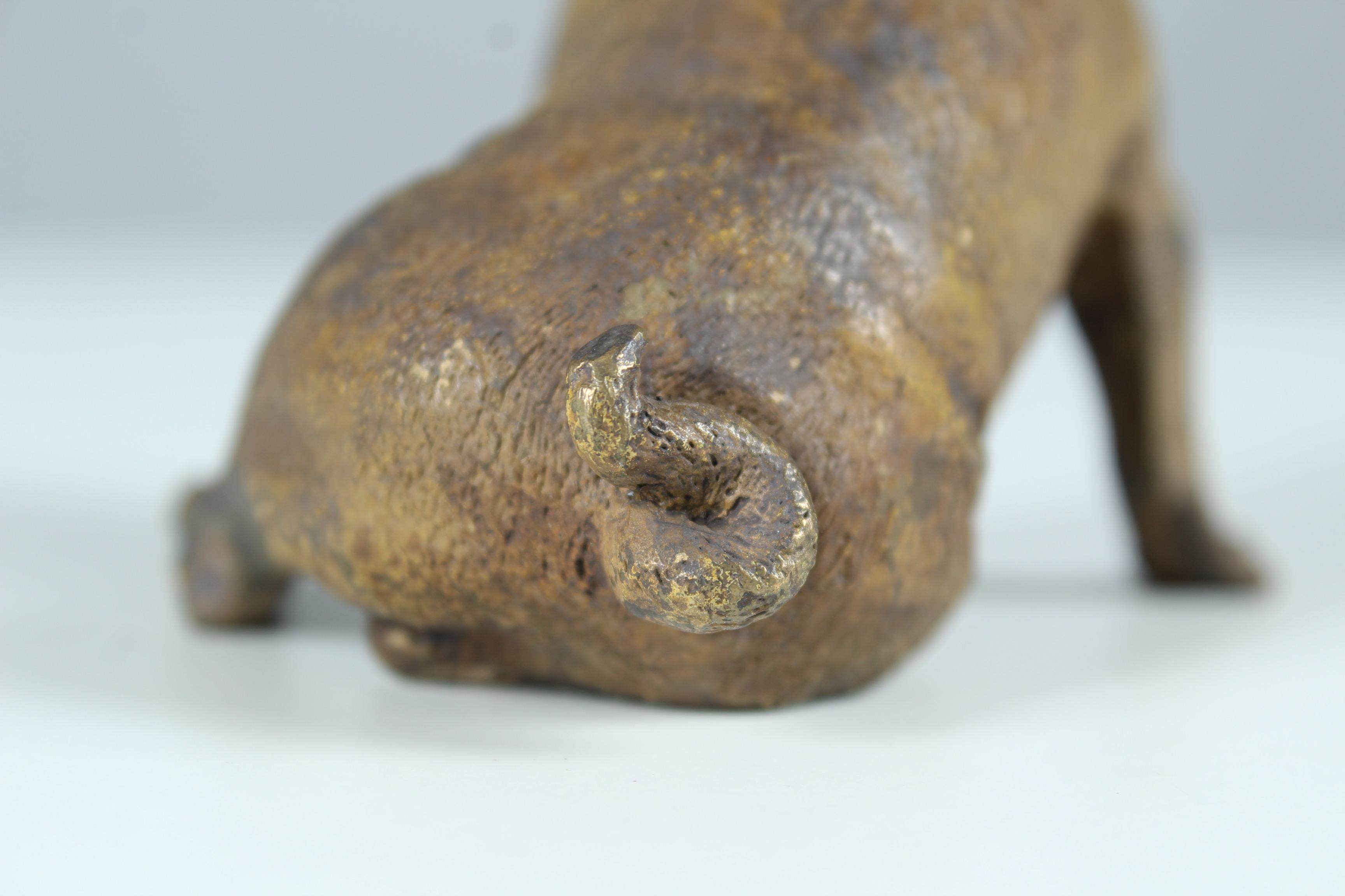 Antike Pug-Skulptur aus Bronze, frühes 20. Jahrhundert im Angebot 6
