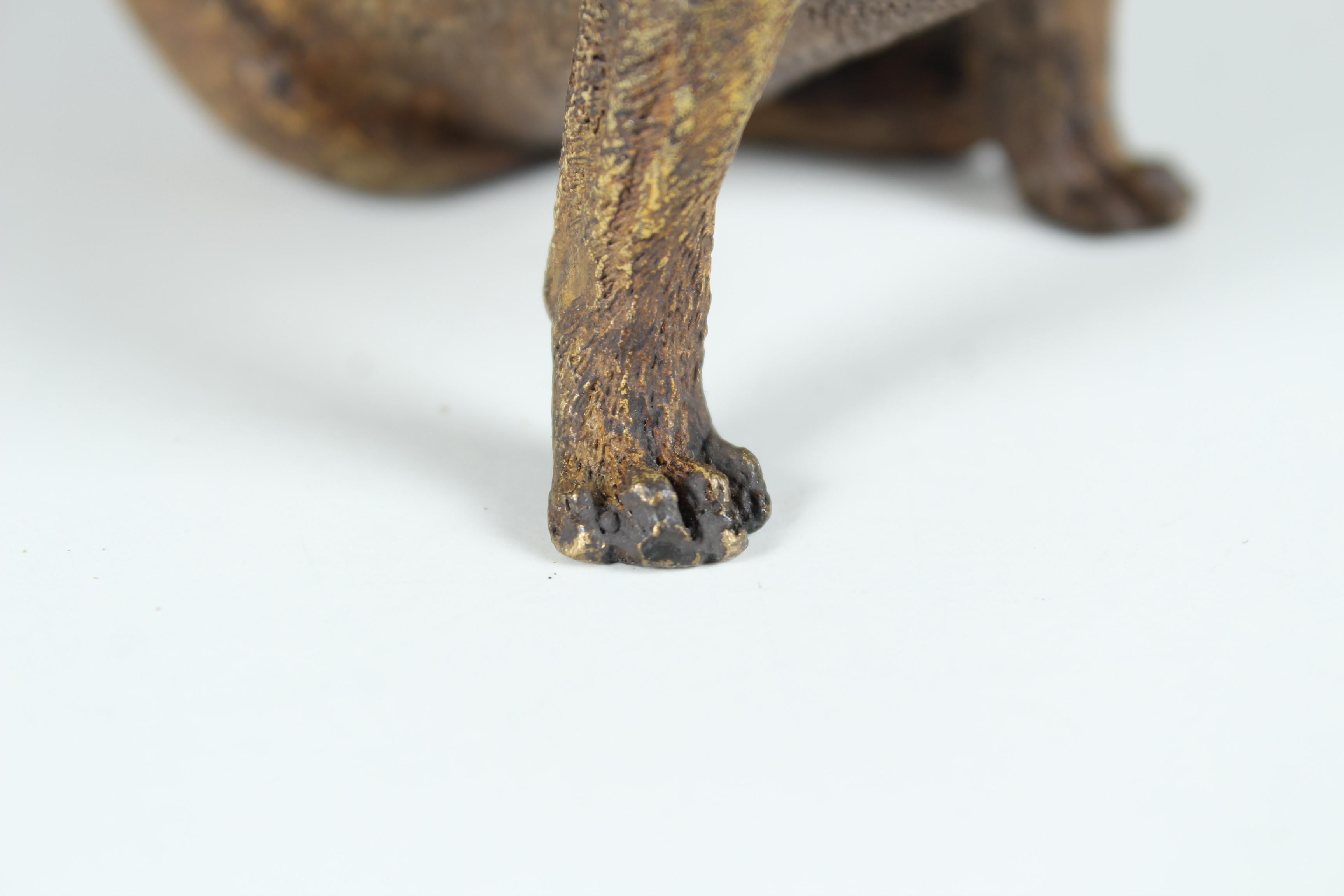 Antike Pug-Skulptur aus Bronze, frühes 20. Jahrhundert im Angebot 7