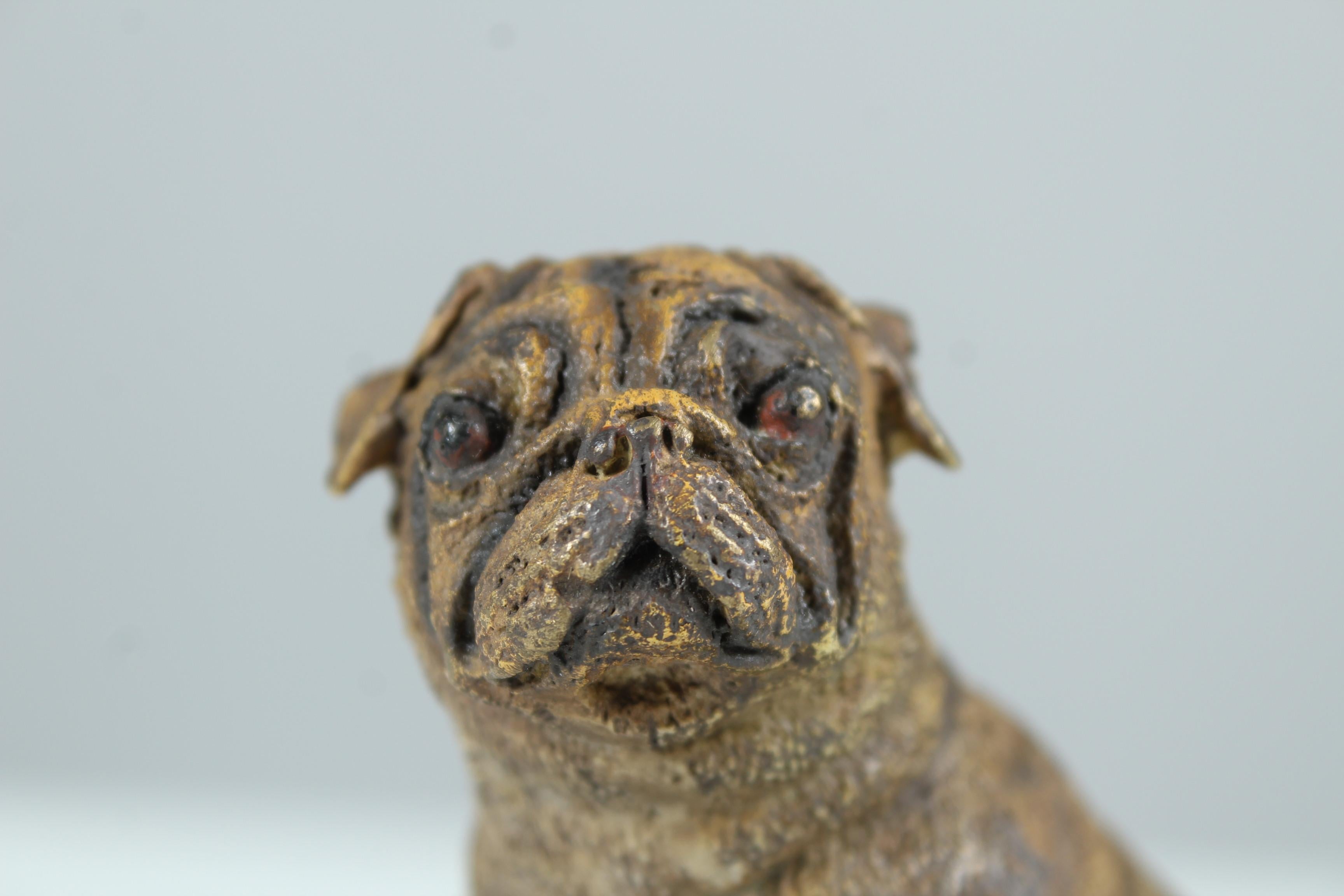 Antique Bronze Pug Sculpture, Early 20th Century For Sale 5