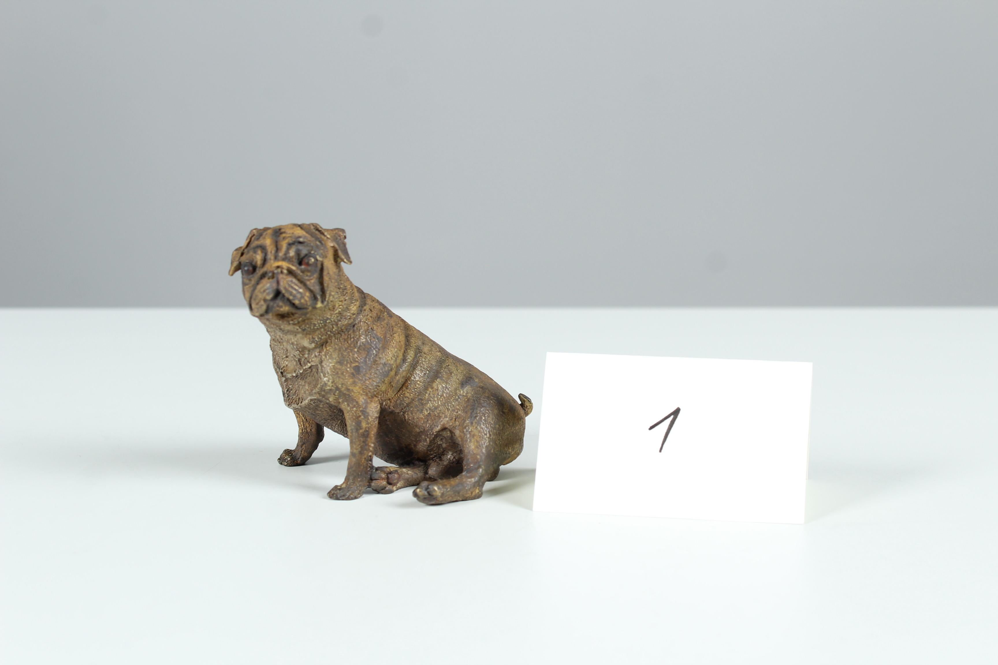 Antique Bronze Pug Sculpture, Early 20th Century For Sale 6