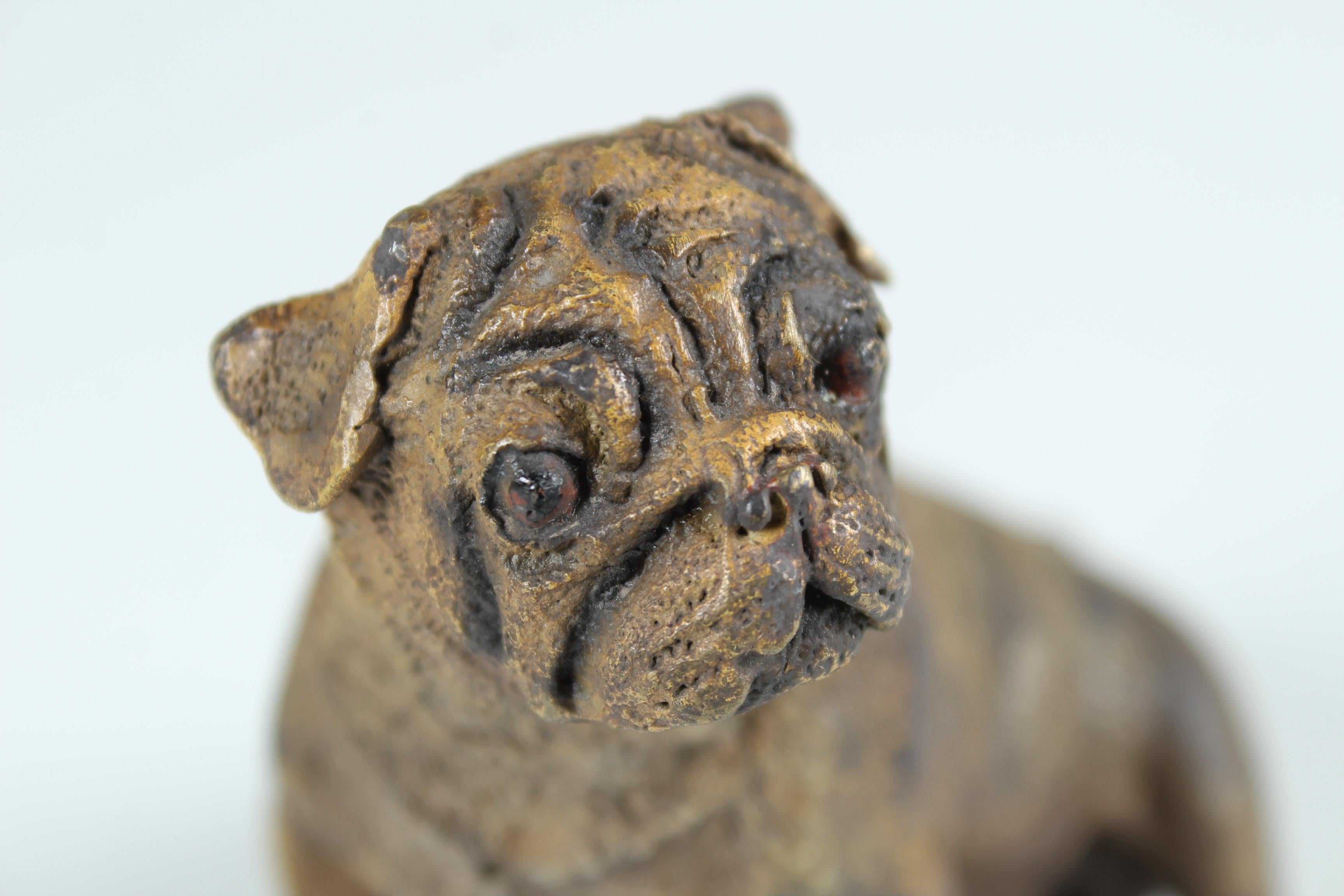 Authentically crafted bronze figure of a sitting pug.
This high-quality bronze work was finely chased and painted.
Probably from France.
