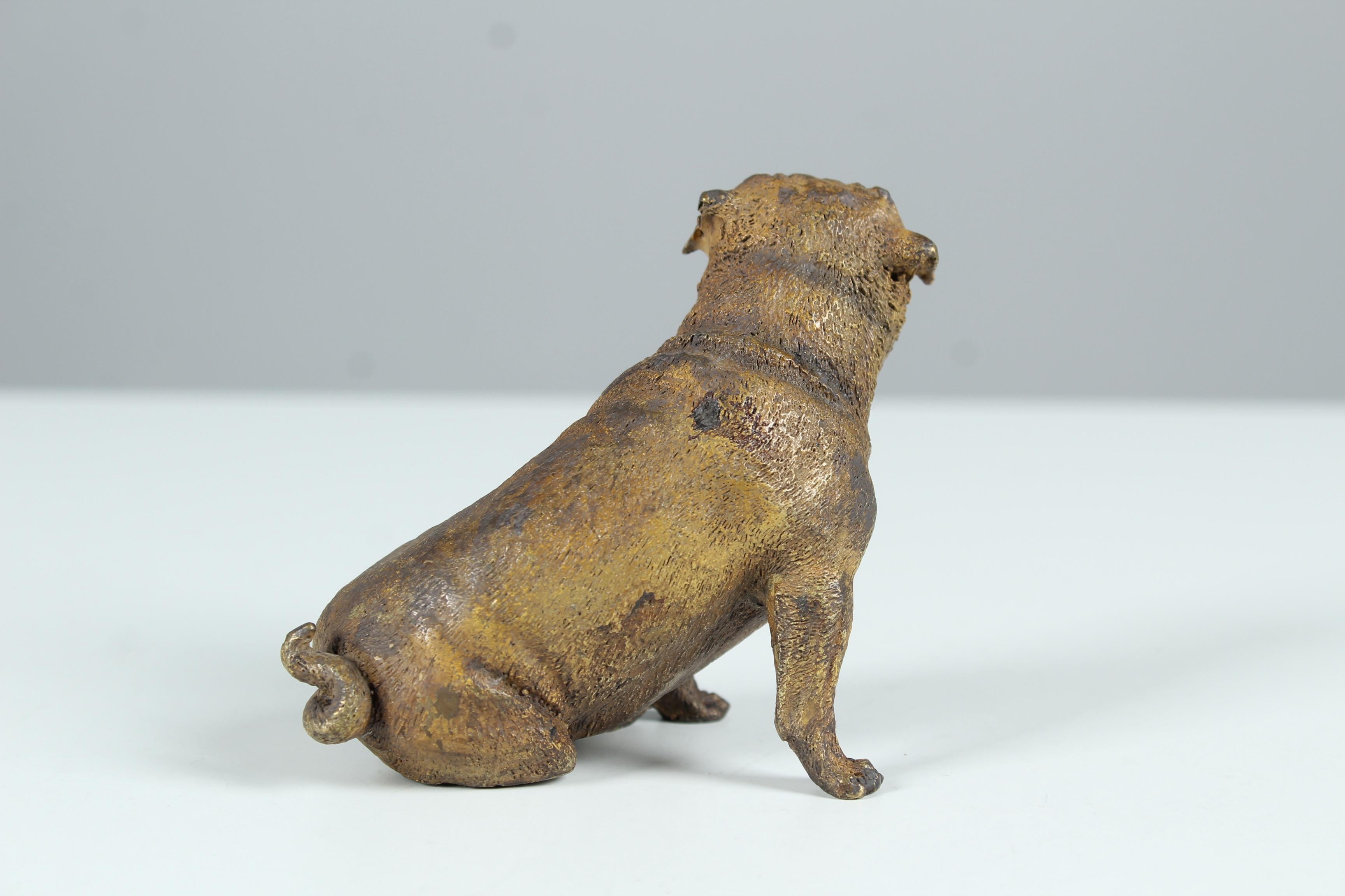 Antike Pug-Skulptur aus Bronze, frühes 20. Jahrhundert im Zustand „Gut“ im Angebot in Greven, DE