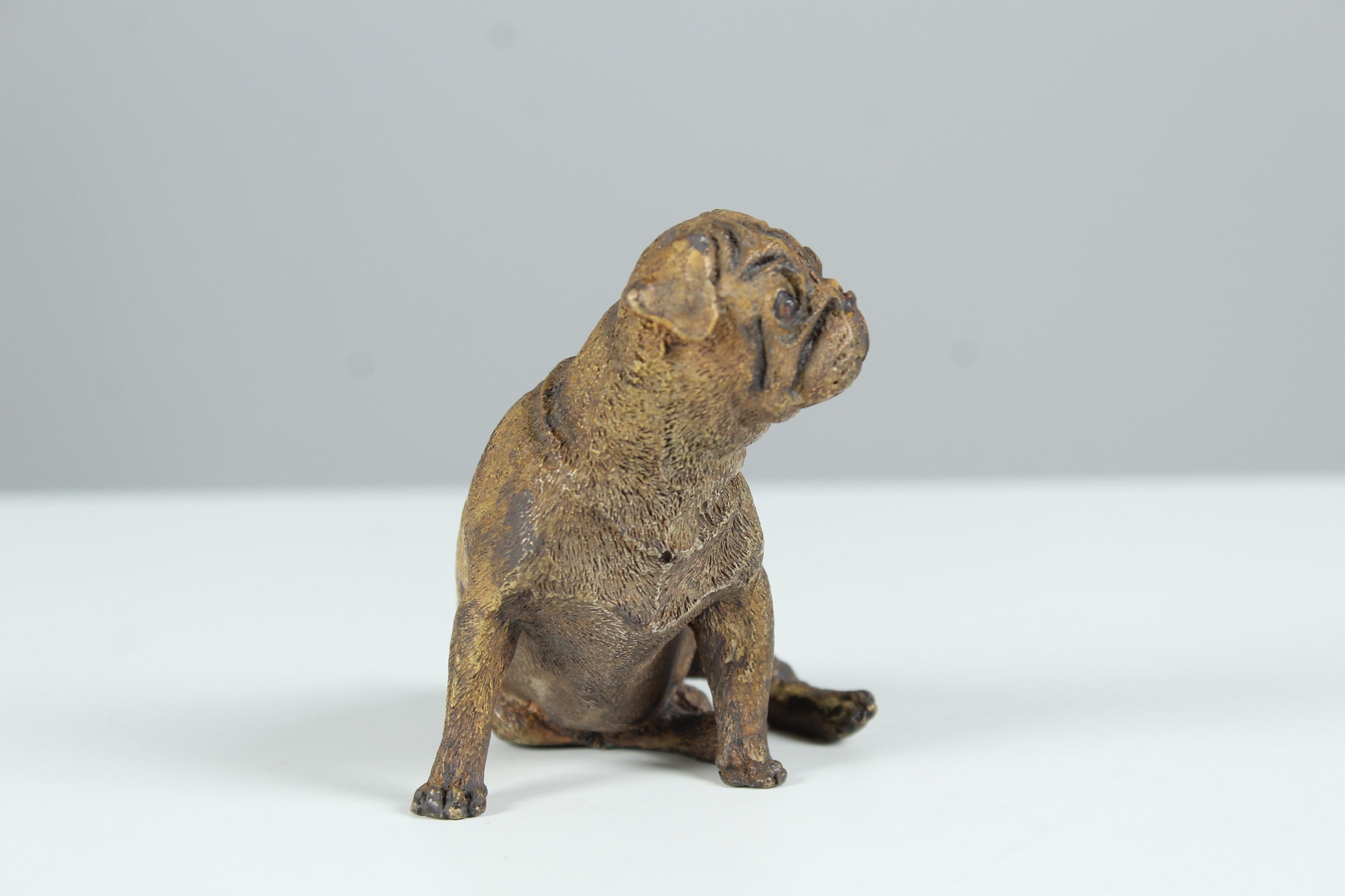 French Antique Bronze Pug Sculpture, Early 20th Century For Sale