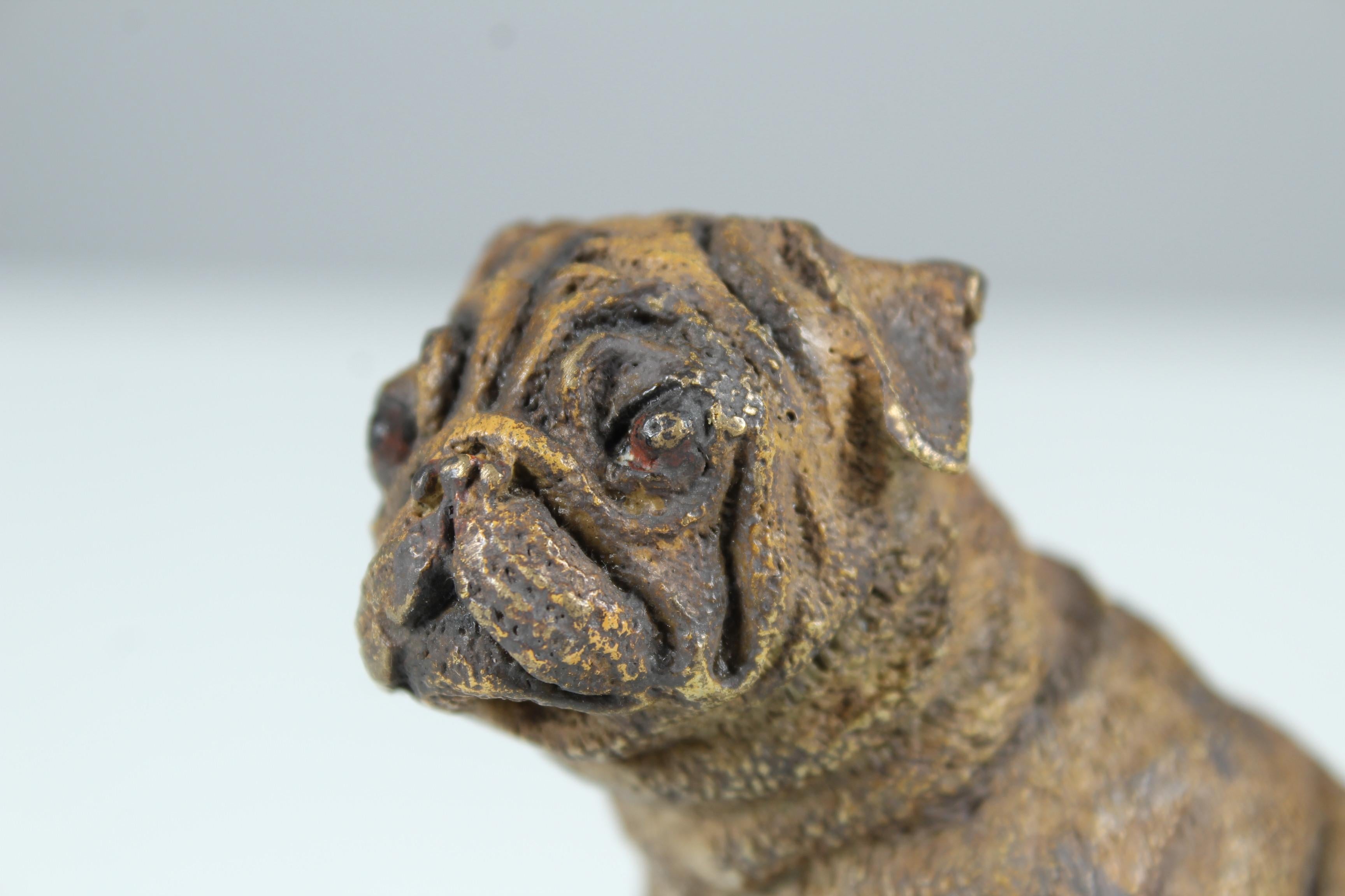 Antique Bronze Pug Sculpture, Early 20th Century For Sale 1