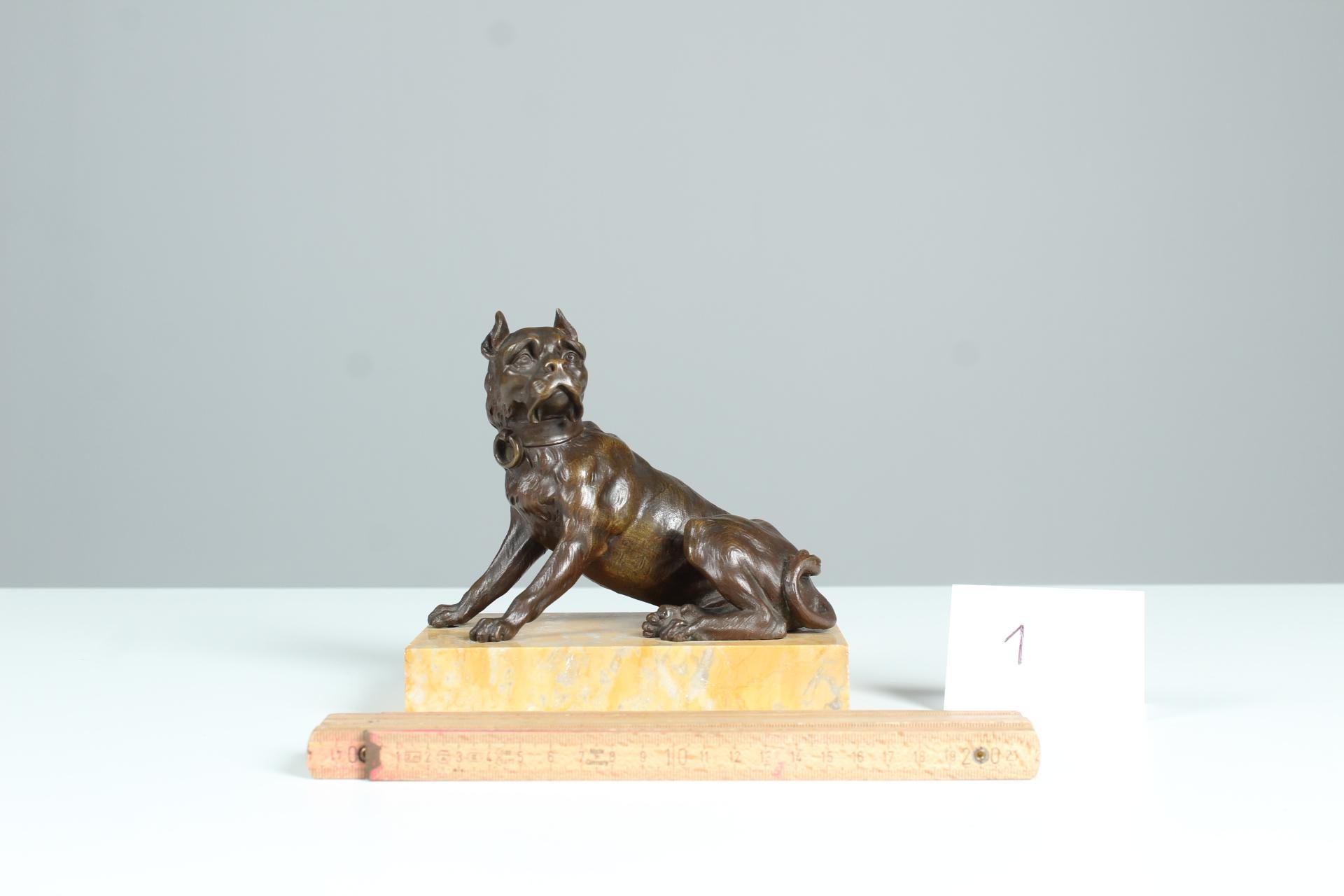 Unknown Antique Bronze Sculpture, Dog, Bulldog, Late 19th Century For Sale