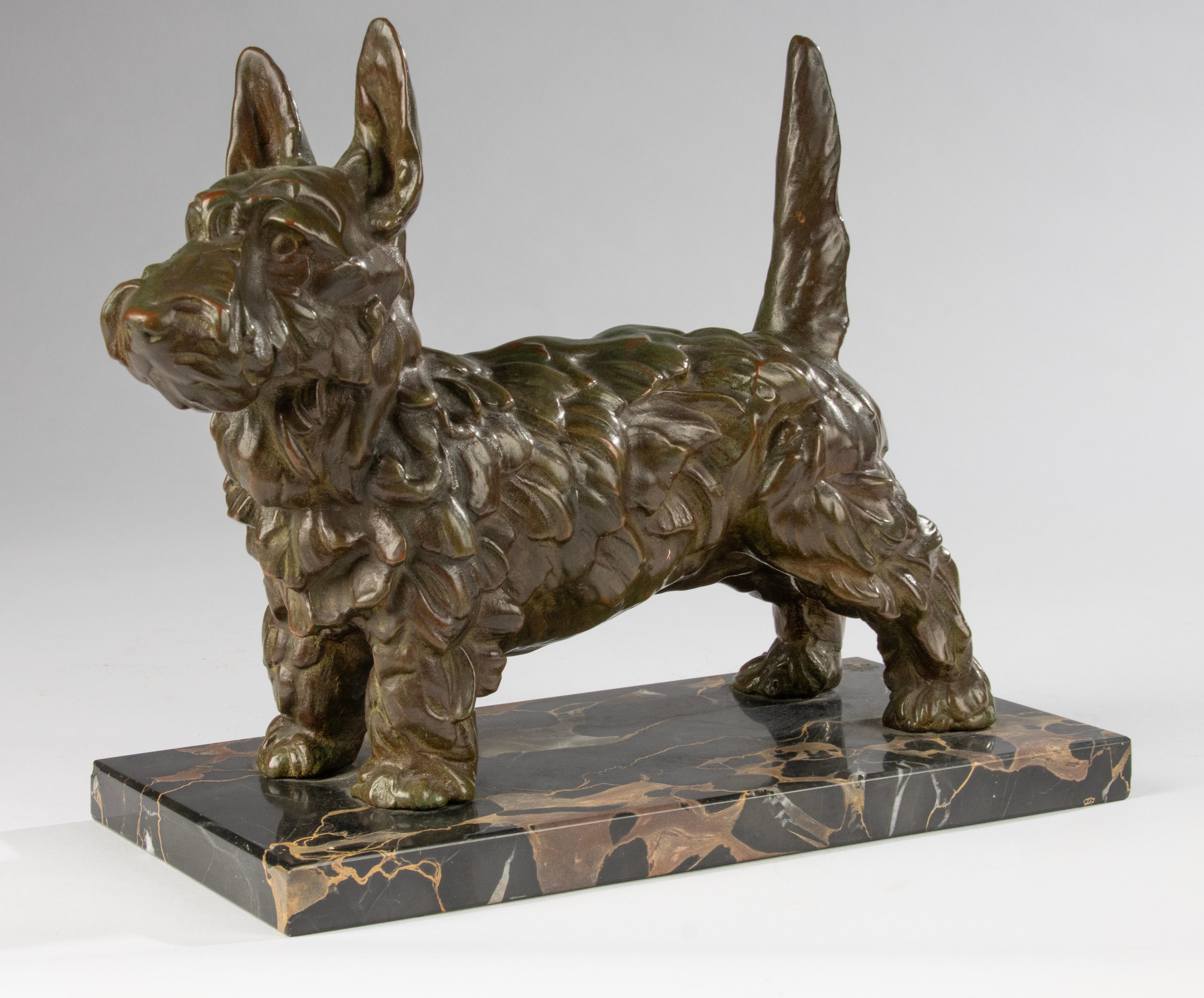 Eine schöne Tierskulptur aus Bronze. Diese charmante Bronzeskulptur zeigt einen charakterstarken Terrier, wahrscheinlich einen Scottish Terrier, in wacher und stolzer Haltung.
Die Anfang des 20. Jahrhunderts gefertigte Skulptur zeigt eine