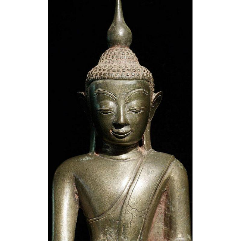 Antique Bronze Shan Buddha from Burma For Sale 5