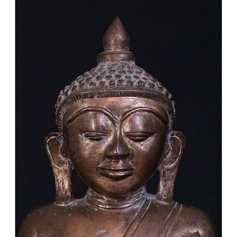 Ancienne statue de Bouddha Shan en bronze de Birmanie en vente 4