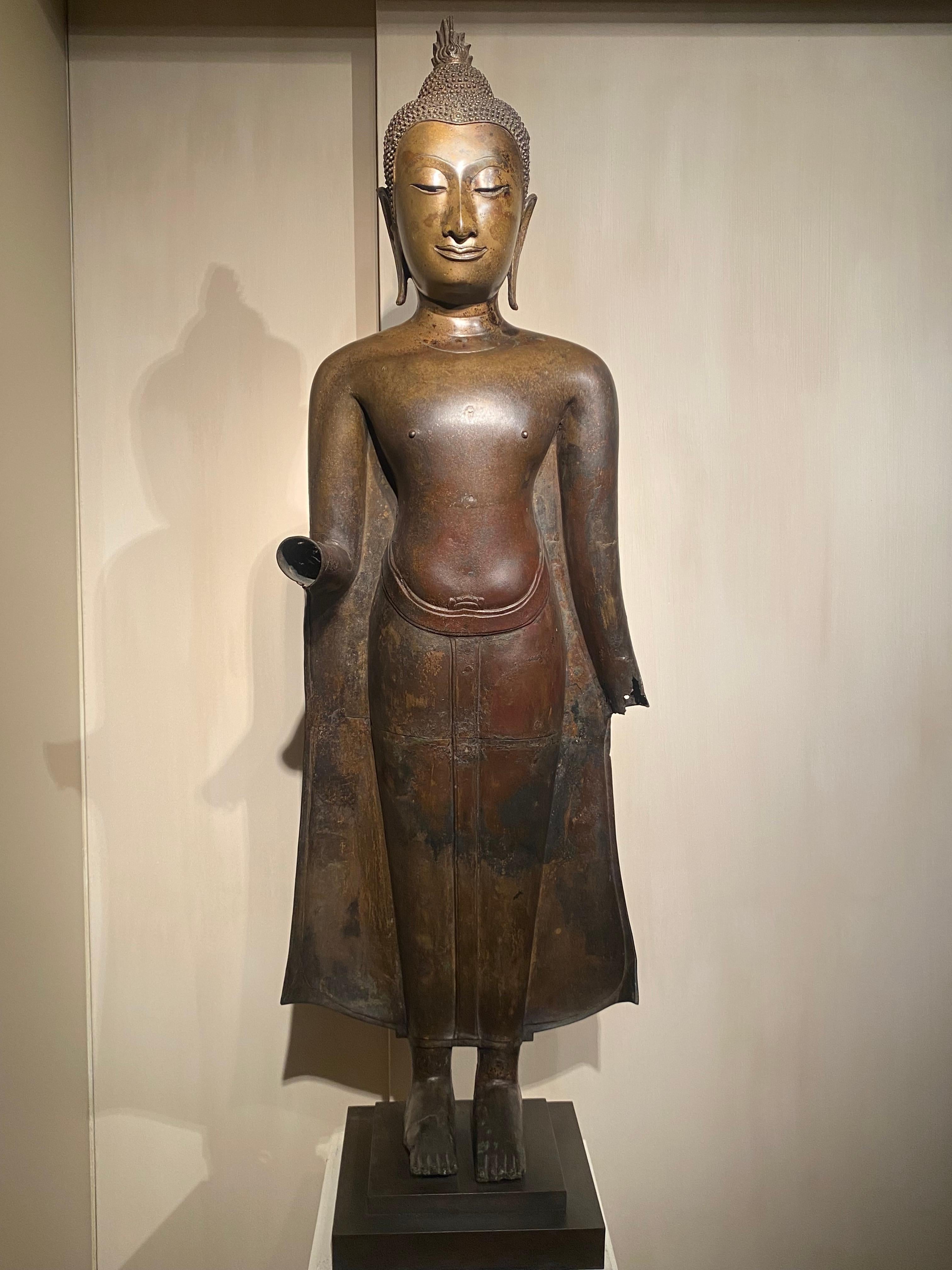 An exceptional Bronze standing Buddha from Thailand,
Ayuthaya Period, 15-16 th Century,
great patina and shine of the antique patinated Bronze,
Buddha in Abhaya Mudra pose, sign of protection and good intentions,
early Ayuthaya Period due to the
