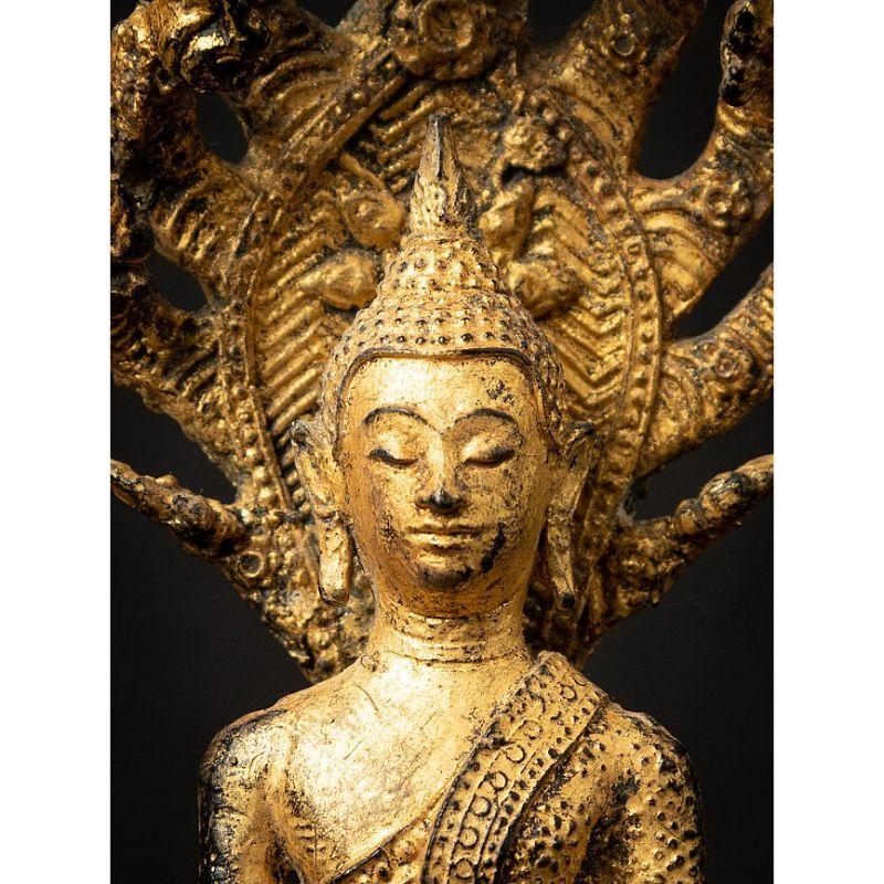 Antique Bronze Thai Buddha on Naga Snake from Thailand 6