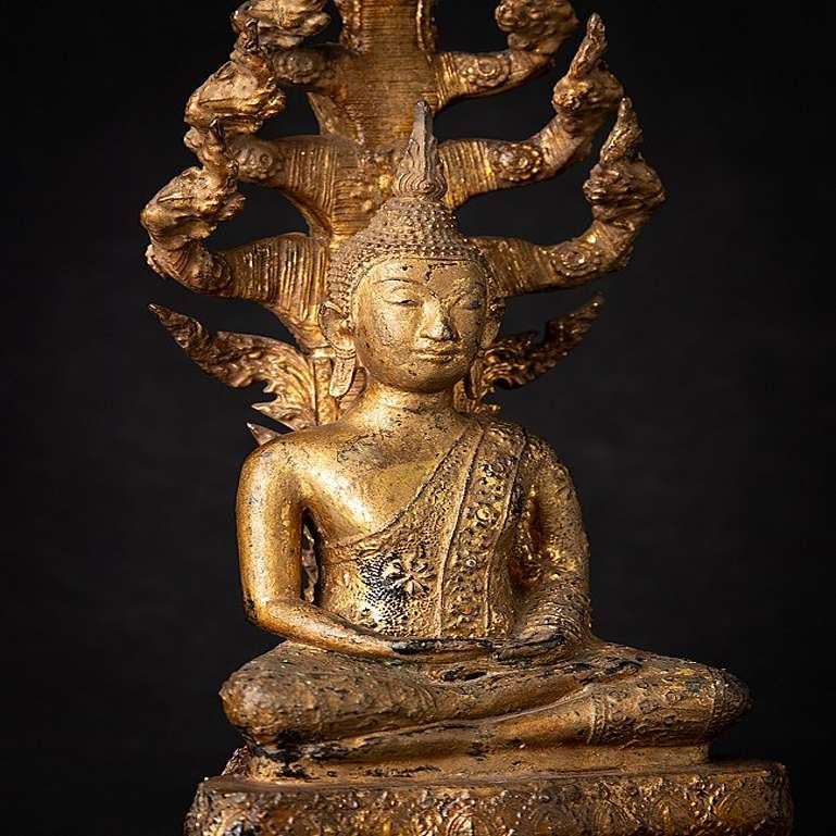 Antique Bronze Thai Buddha on Naga Snake from Thailand 7