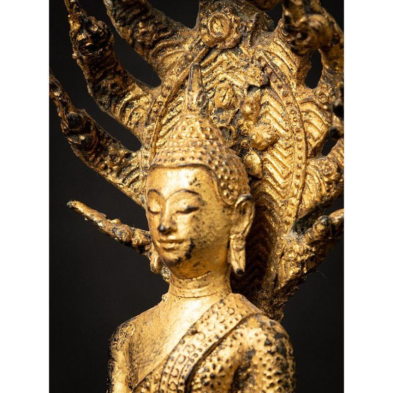 Antique Bronze Thai Buddha on Naga Snake from Thailand 8