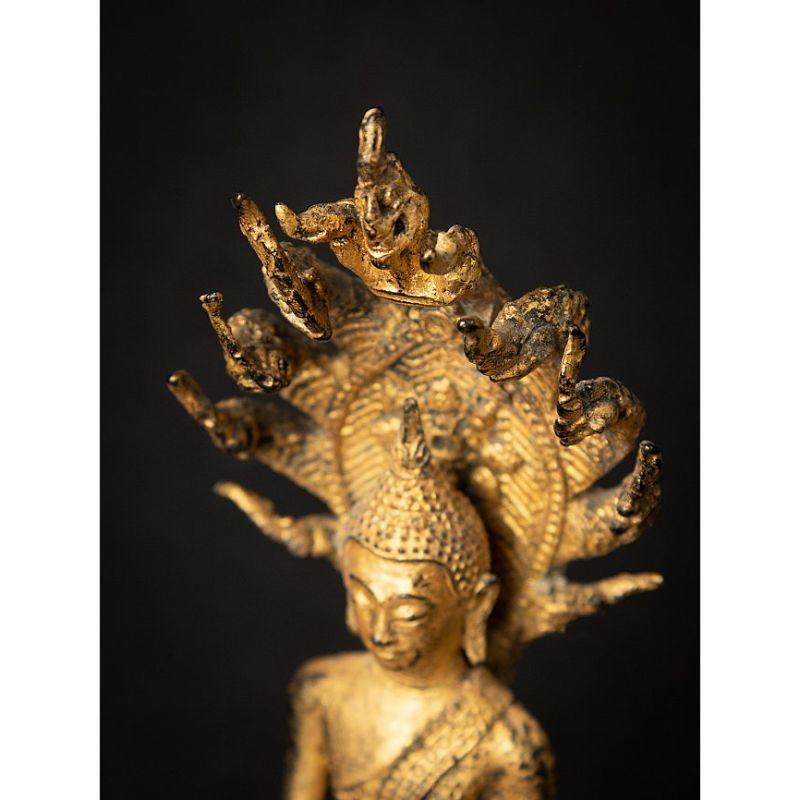 Antique Bronze Thai Buddha on Naga Snake from Thailand 10