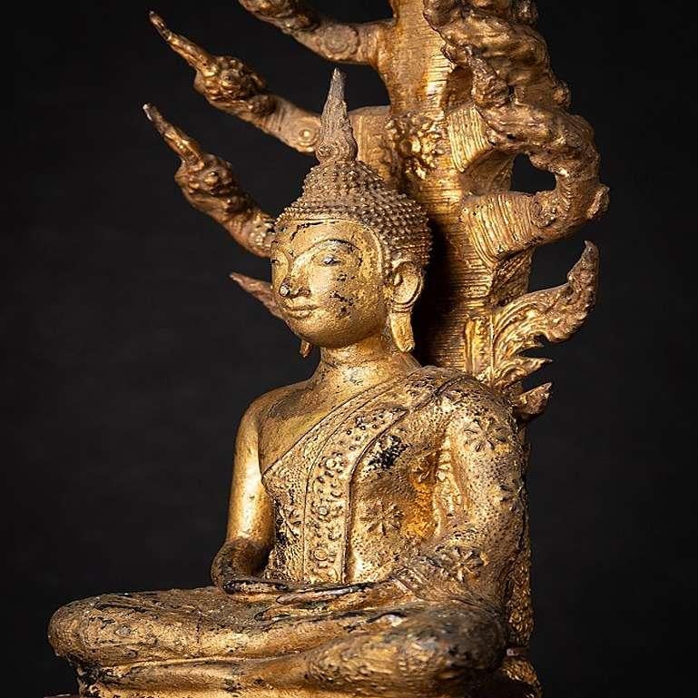 Antique Bronze Thai Buddha on Naga Snake from Thailand 1