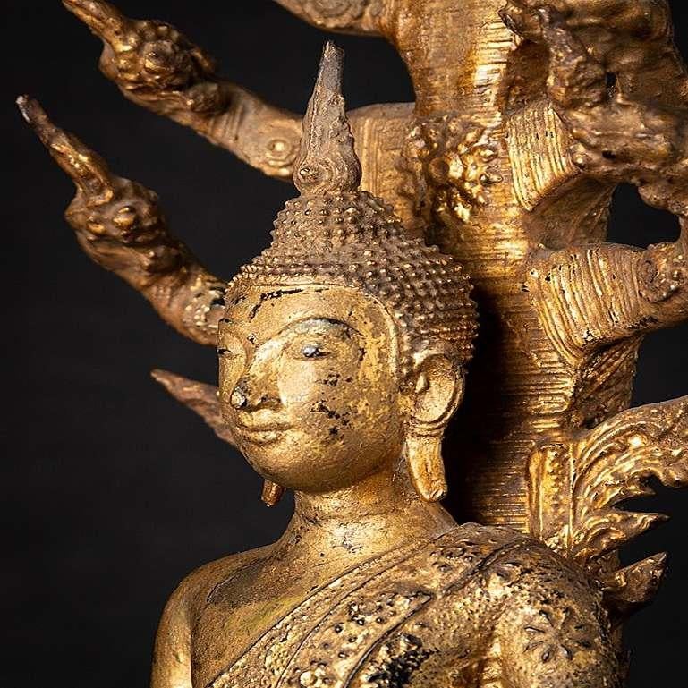 Antique Bronze Thai Buddha on Naga Snake from Thailand 2