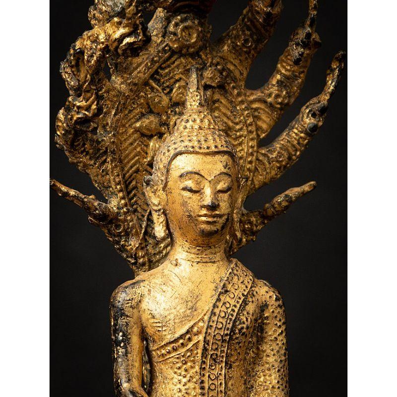 Antique Bronze Thai Buddha on Naga Snake from Thailand 4