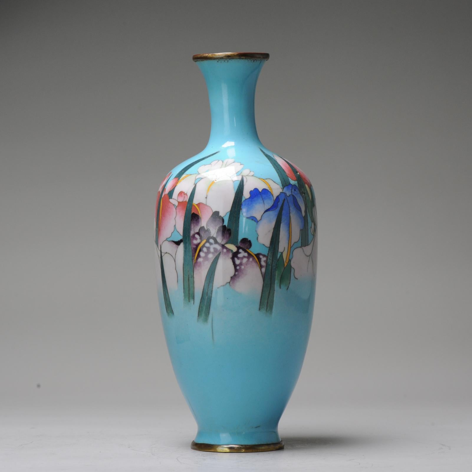 Antique Bronze Vase Gonda Hirosuki Cloisonné Japan Meiji/Taisho 19/20th Century For Sale 4