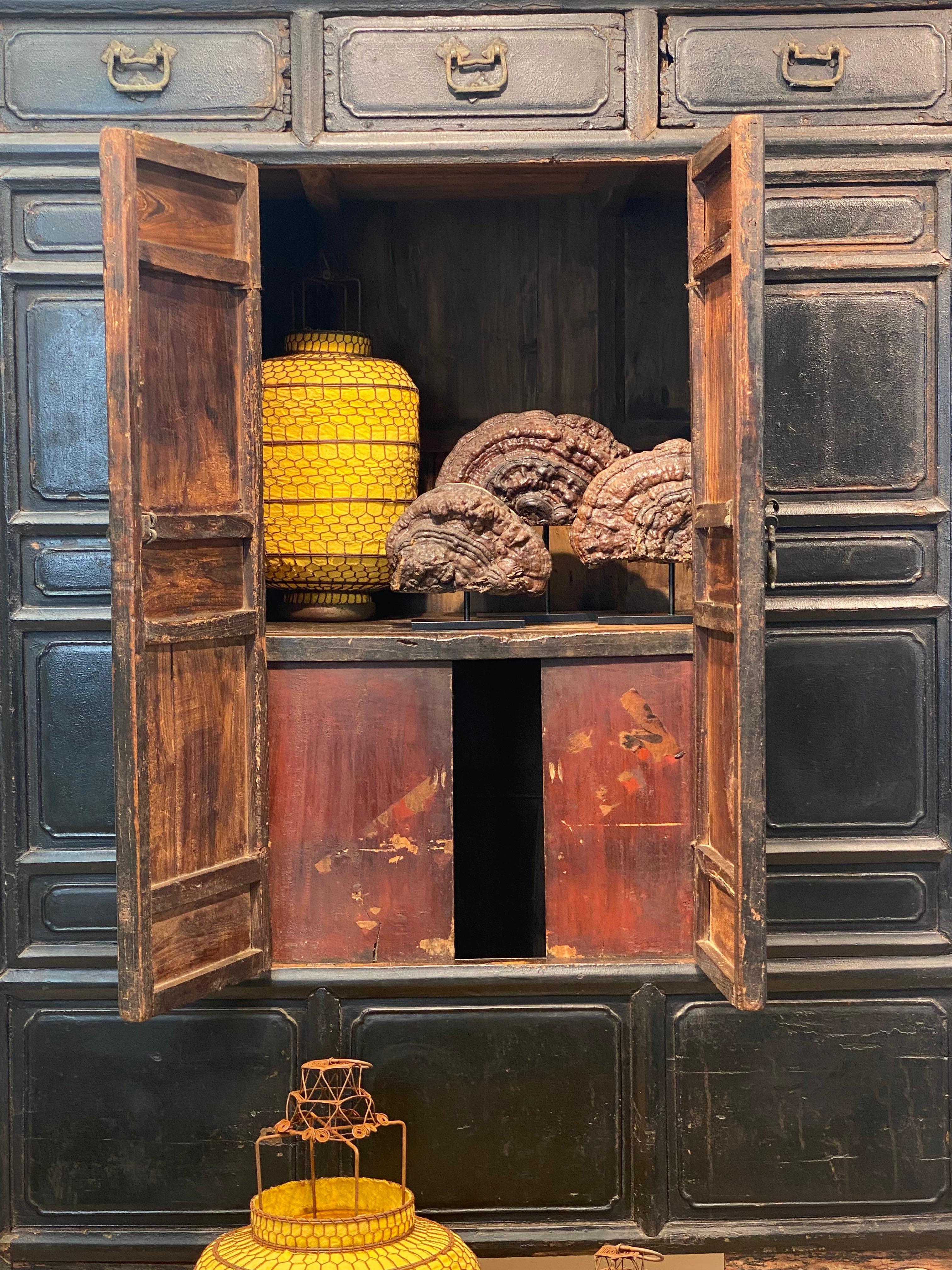 Antique Brutalist Chinese Cabinet For Sale 13