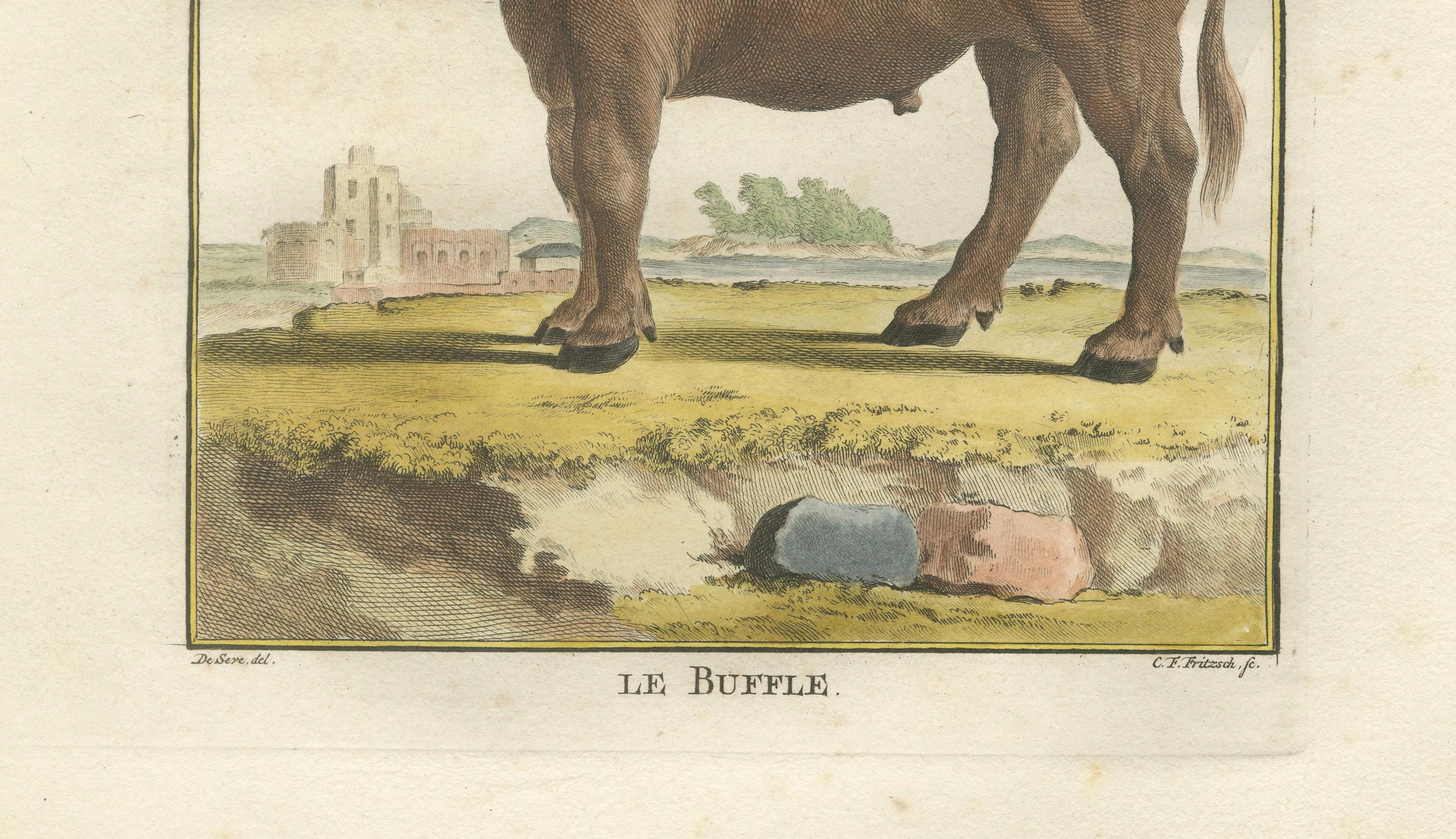 Néerlandais Gravure ancienne de Buffon, gravure à la main de Buffon Amsterdam 1769 en vente