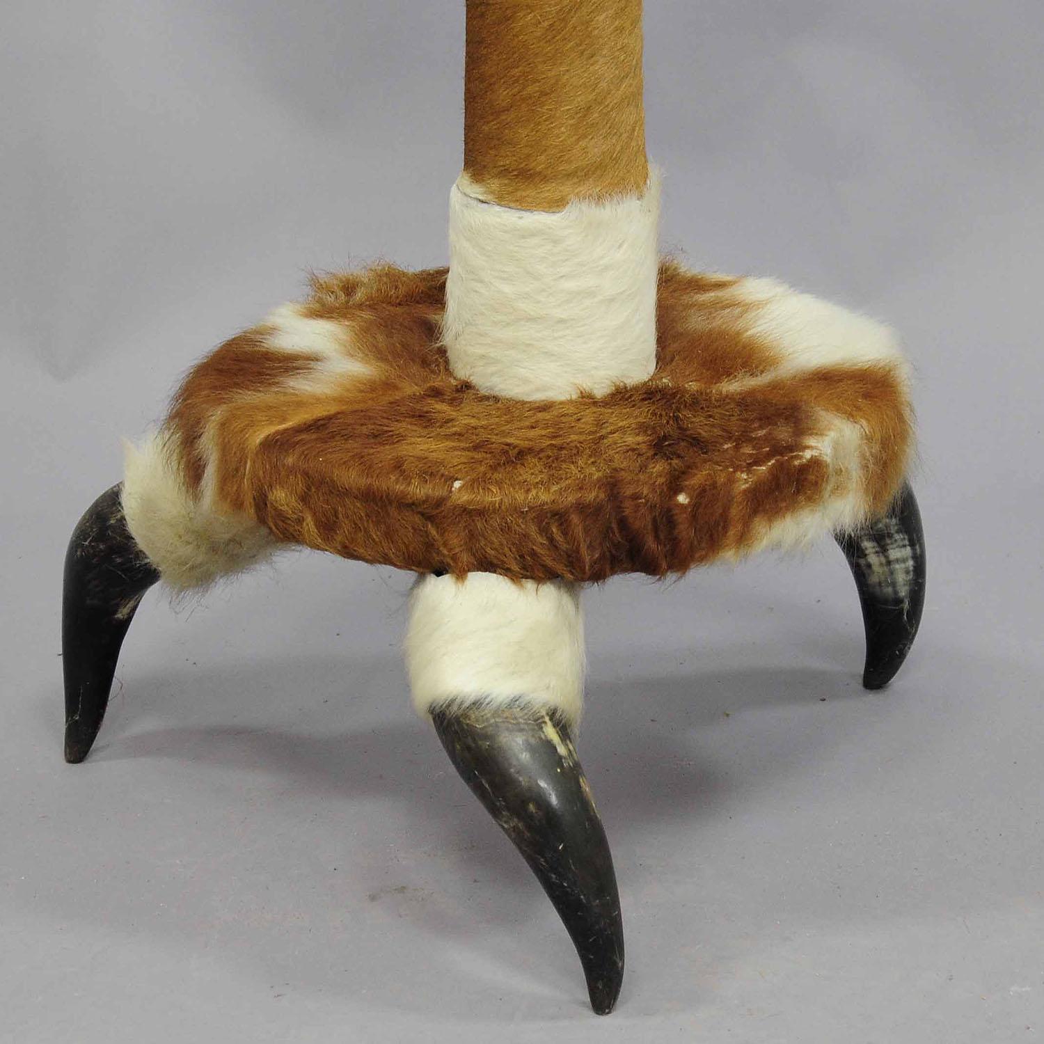 Black Forest Antique Bull Horn Hall Stand with Cow Fur ca. 1870 For Sale