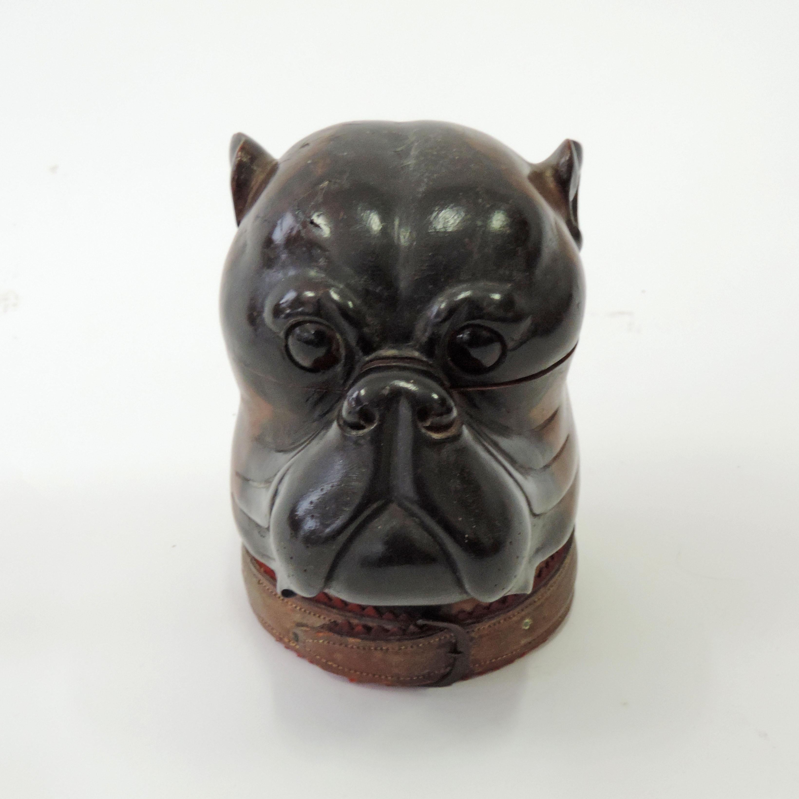 Art Deco Antique Bulldog Head Wooden Box, England, 1900 For Sale