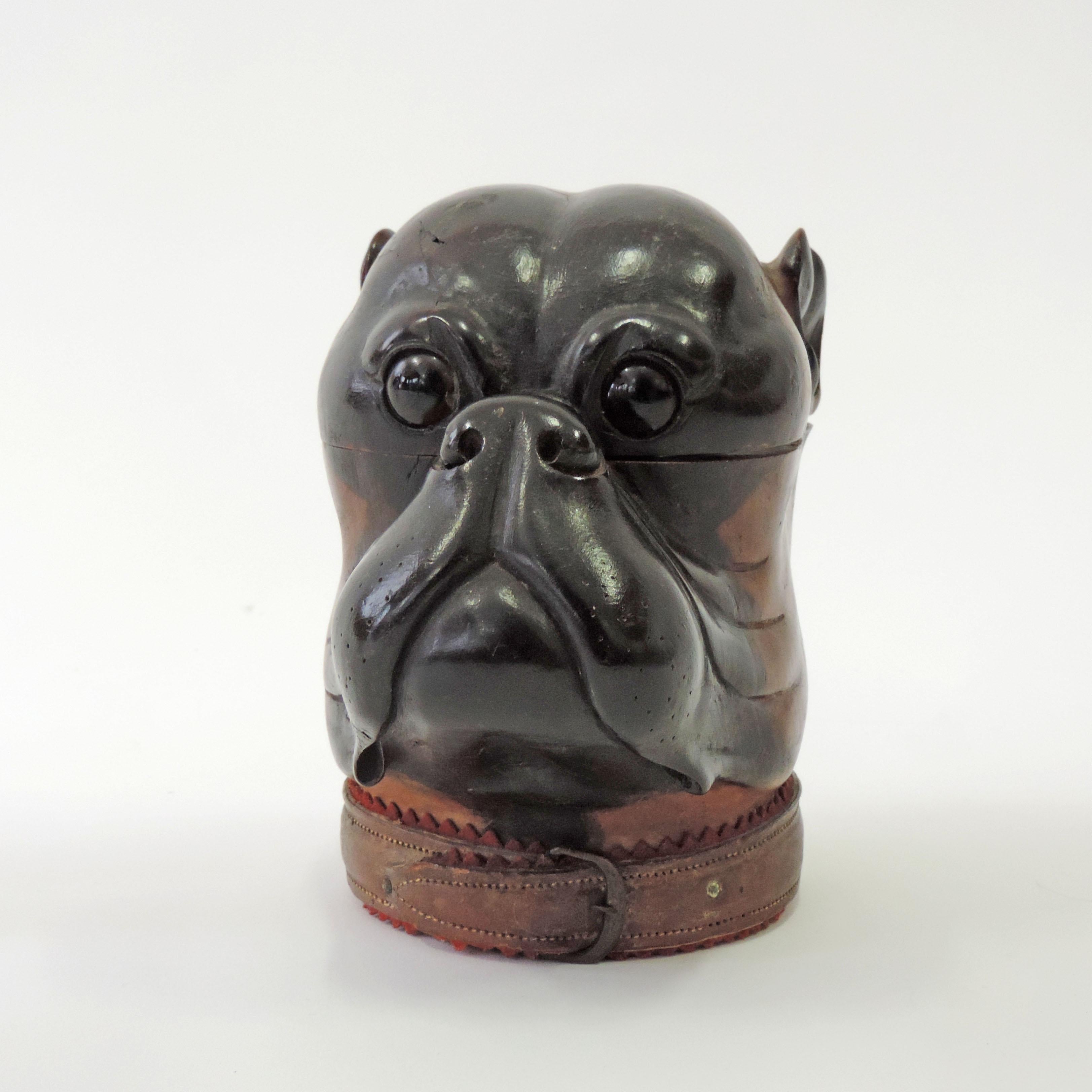 Early 20th Century Antique Bulldog Head Wooden Box, England, 1900 For Sale