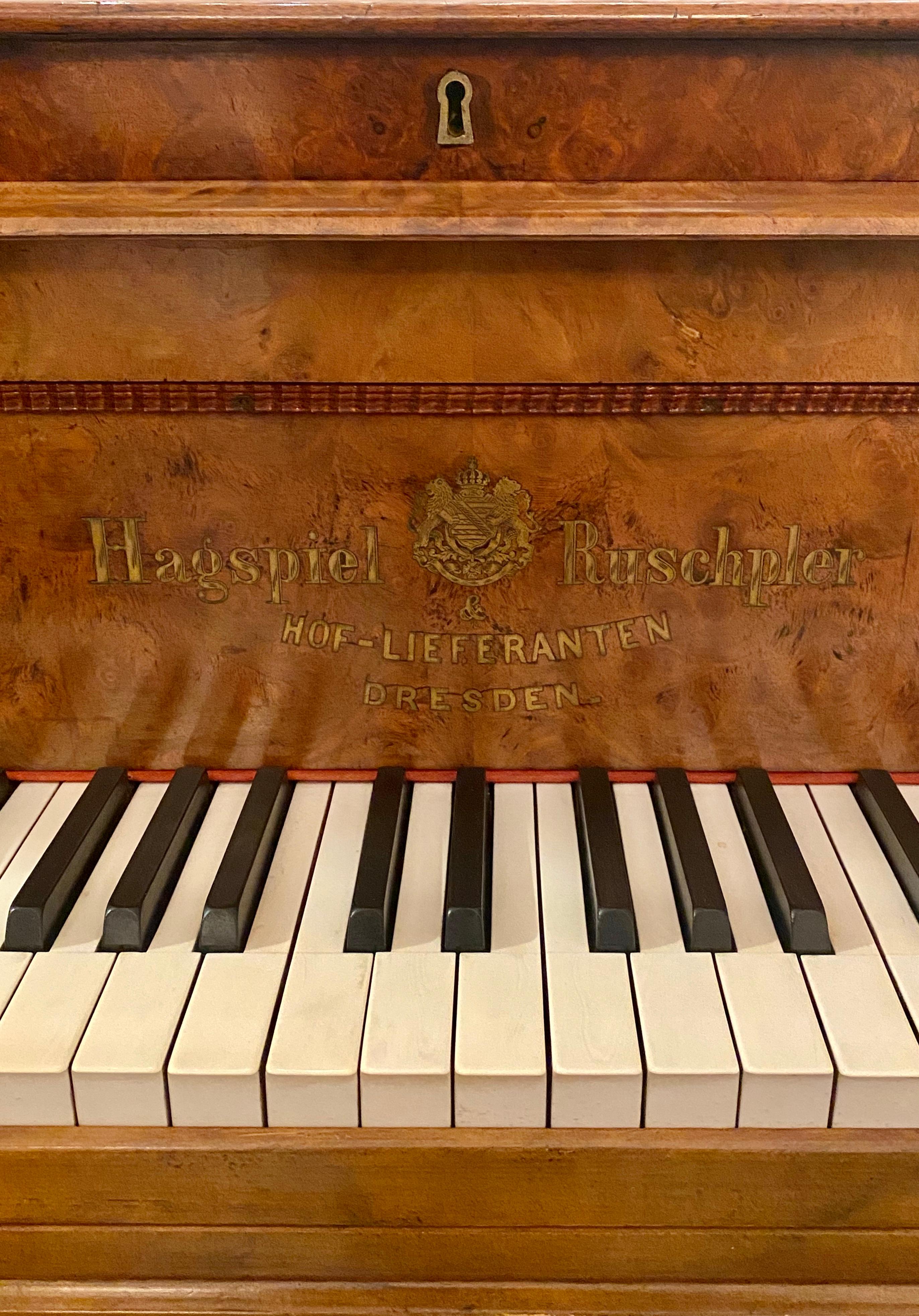 Antique Burled Walnut Parlor Grand Piano Made by Hagspiel & Ruschpler circa 1875 7