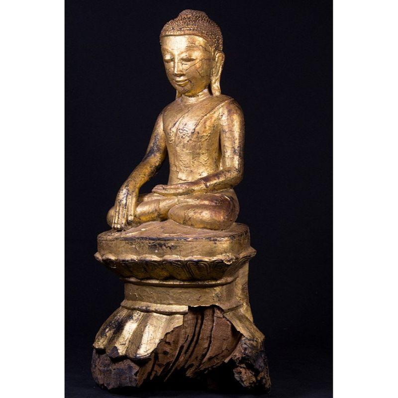 Material: wood
50,5 cm high 
25 cm wide and 16 cm deep
Weight: 5.3 kgs
Gilded with 24 krt. gold
Ava style
Bhumisparsha mudra
Originating from Burma
17-18th century.
 