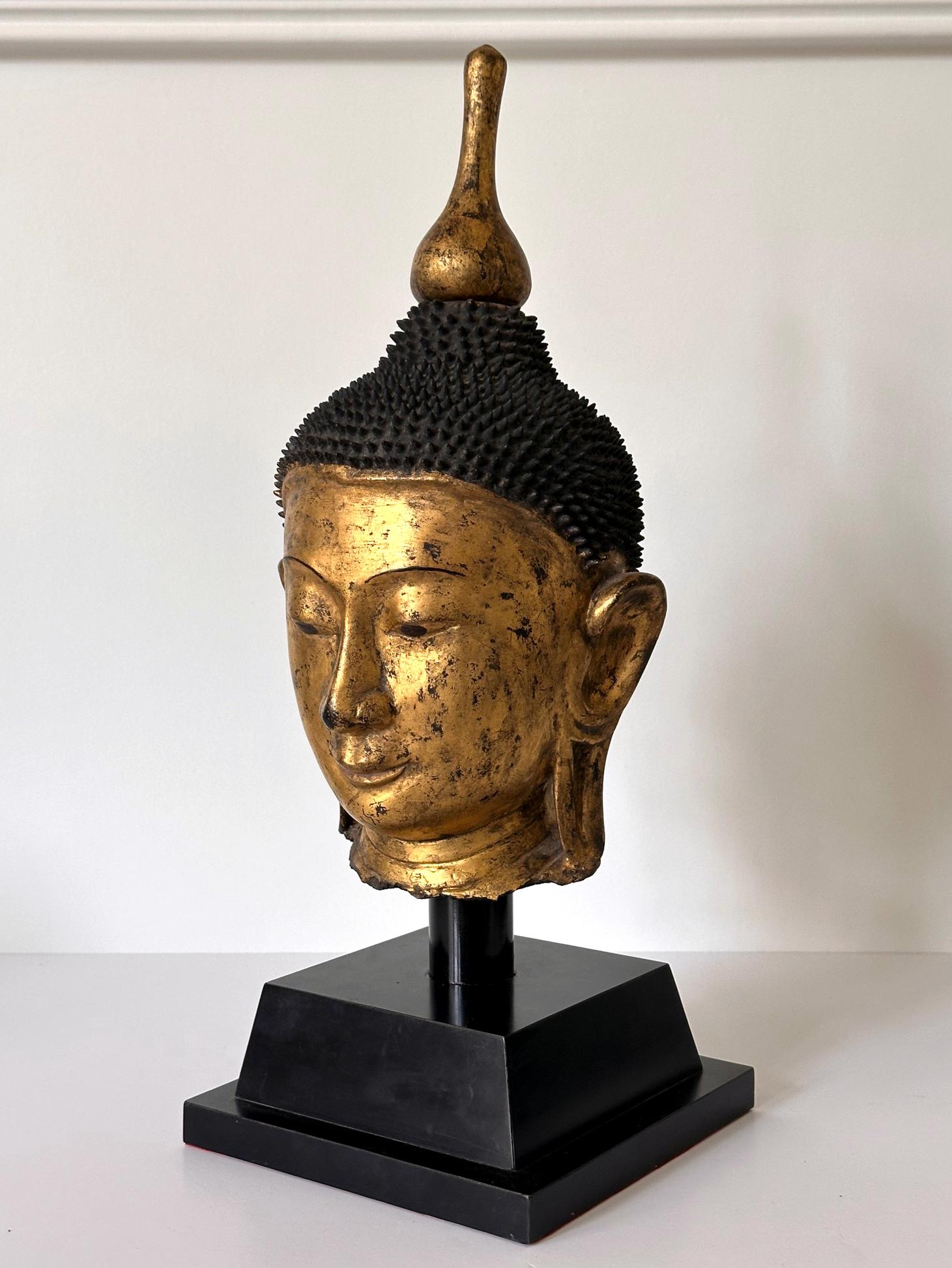 Una antigua cabeza de buda tallada en madera, expuesta en un soporte a medida de hacia el siglo XIX. La estatua estaba finamente esculpida con una expresión facial serena, de ojos bajos meditabundos y rizos de pelo detallados. La superficie se doró