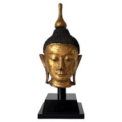 Antica scultura di testa di Buddha in legno dorato birmano su supporto