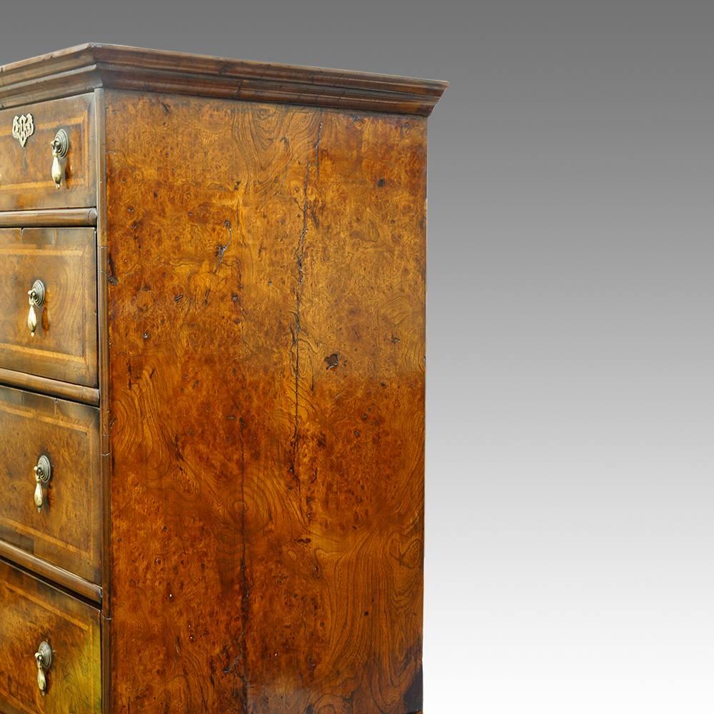 19th Century Antique Burr Elm Chest on Stand