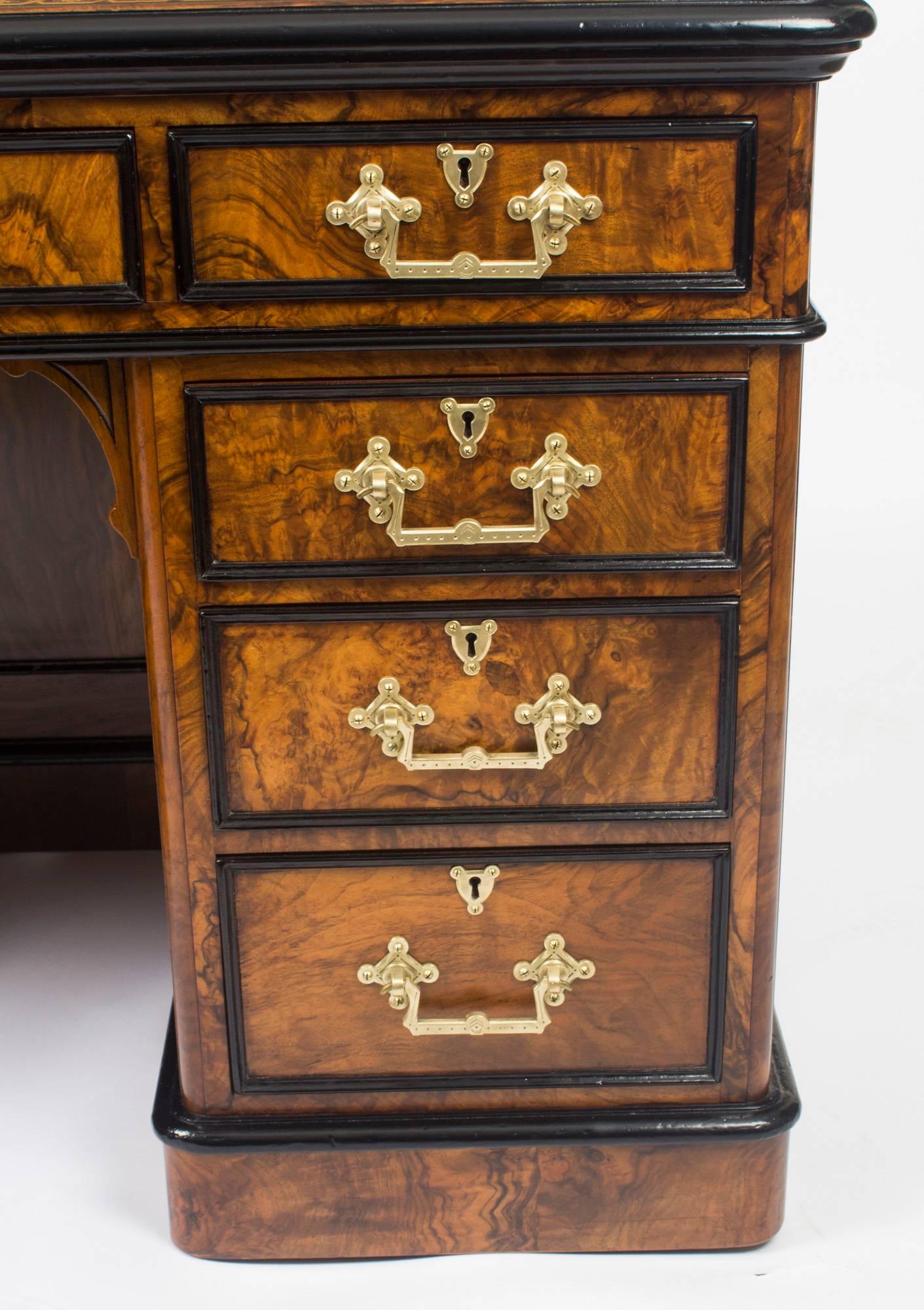 Antique Burr Walnut and Ebonised Marquetry Pedestal Desk, 19th Century In Excellent Condition In London, GB
