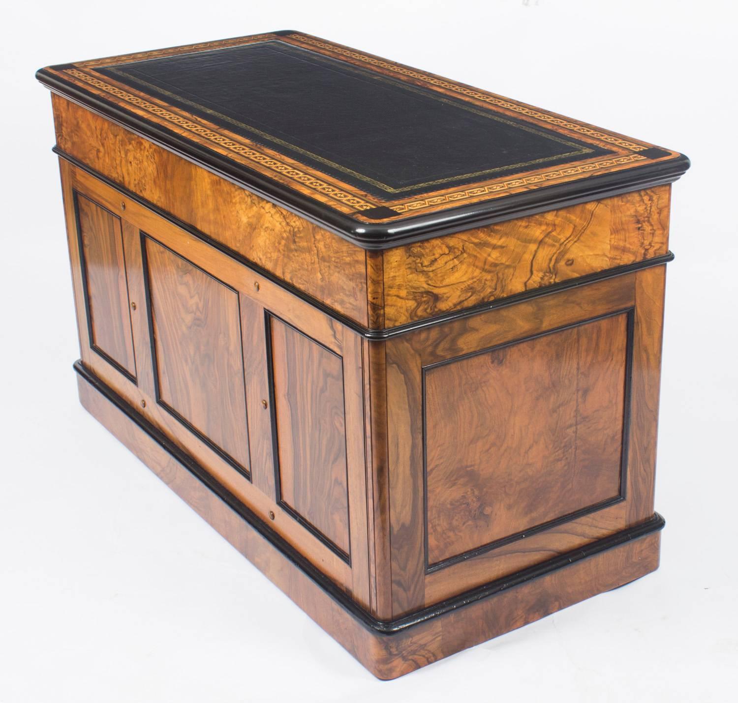 Antique Burr Walnut and Ebonised Marquetry Pedestal Desk, 19th Century 3
