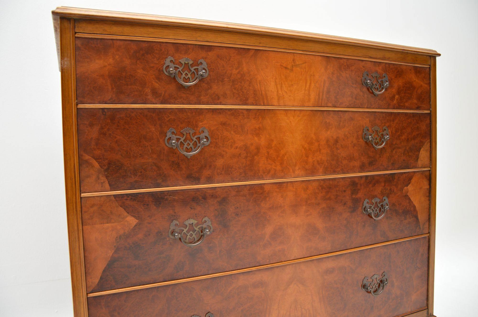 Antique Burr Walnut Chest of Drawers 1