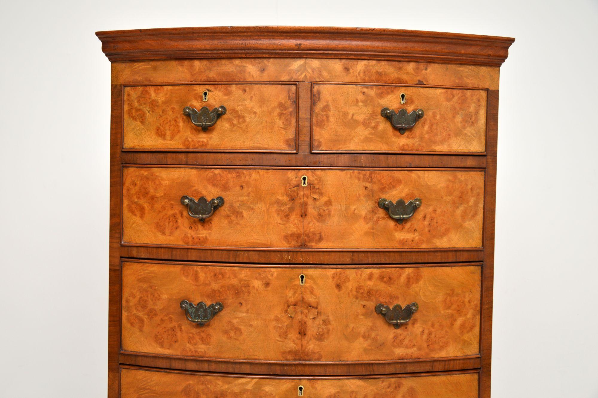 Late 19th Century Antique Burr Walnut Chest on Chest of Drawers For Sale