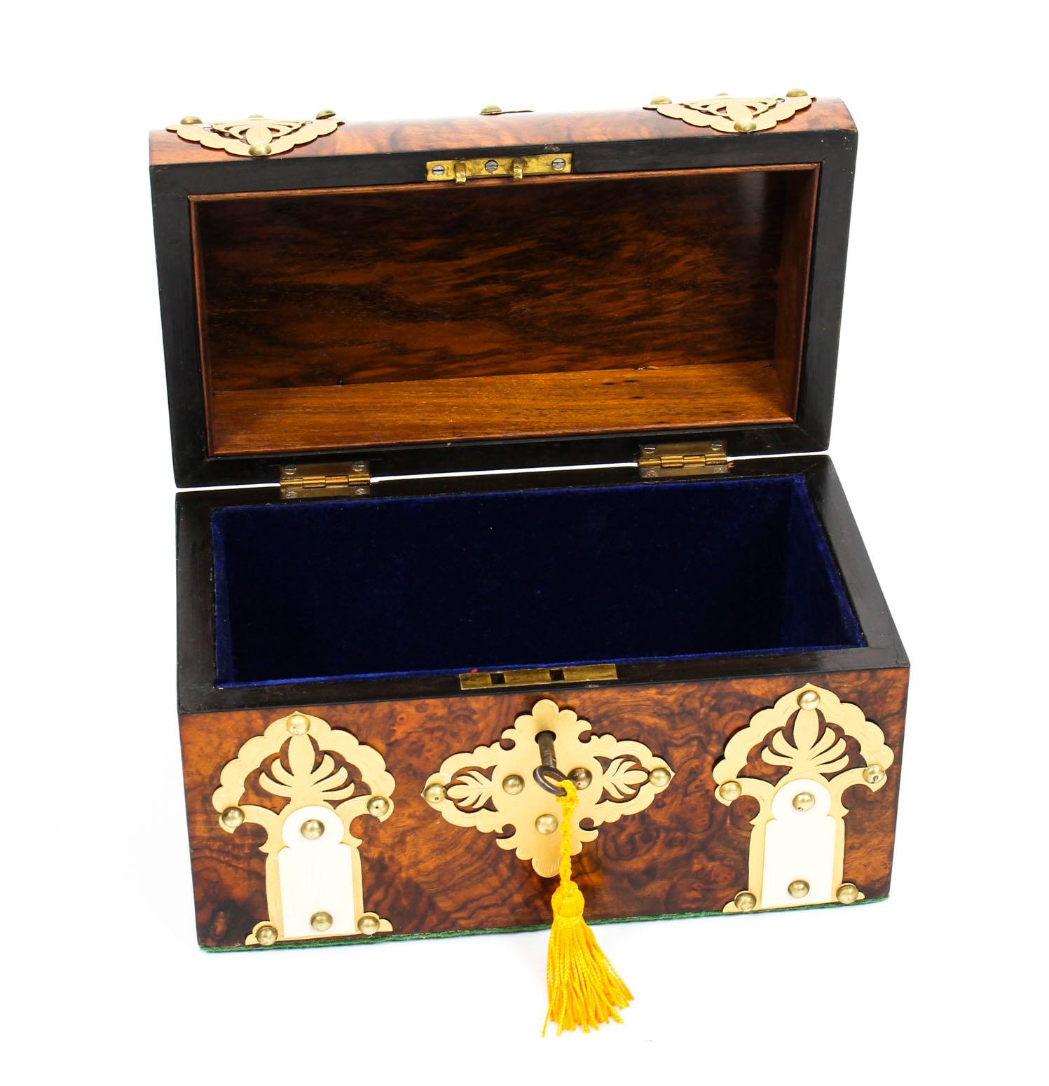 Late 19th Century Antique Burr Walnut, Ivorine and Brass Box Casket with Key, 19th Century