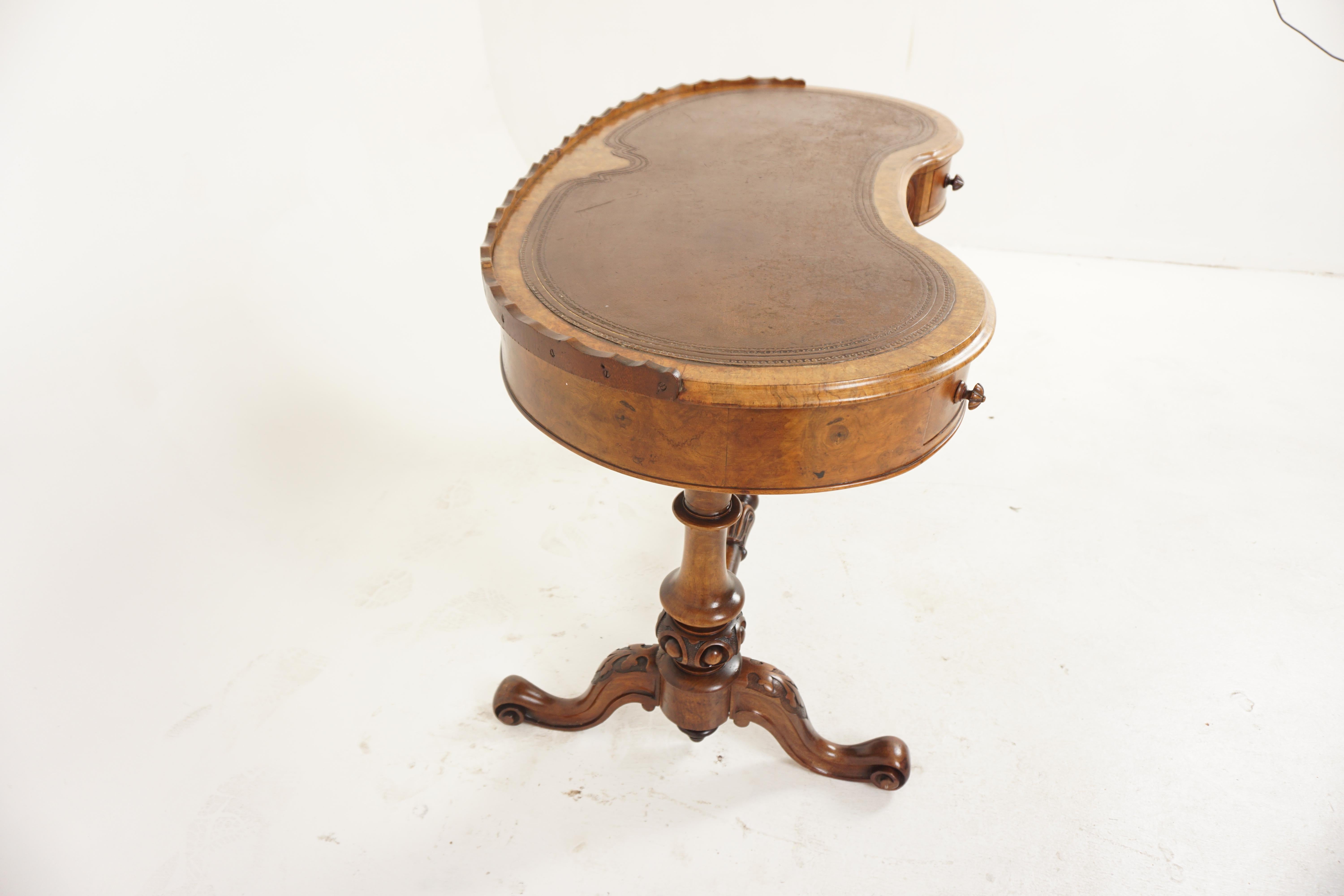 Antique Burr Walnut Kidney Shaped Desk, Writing Table, Scotland 1870, H1178 2