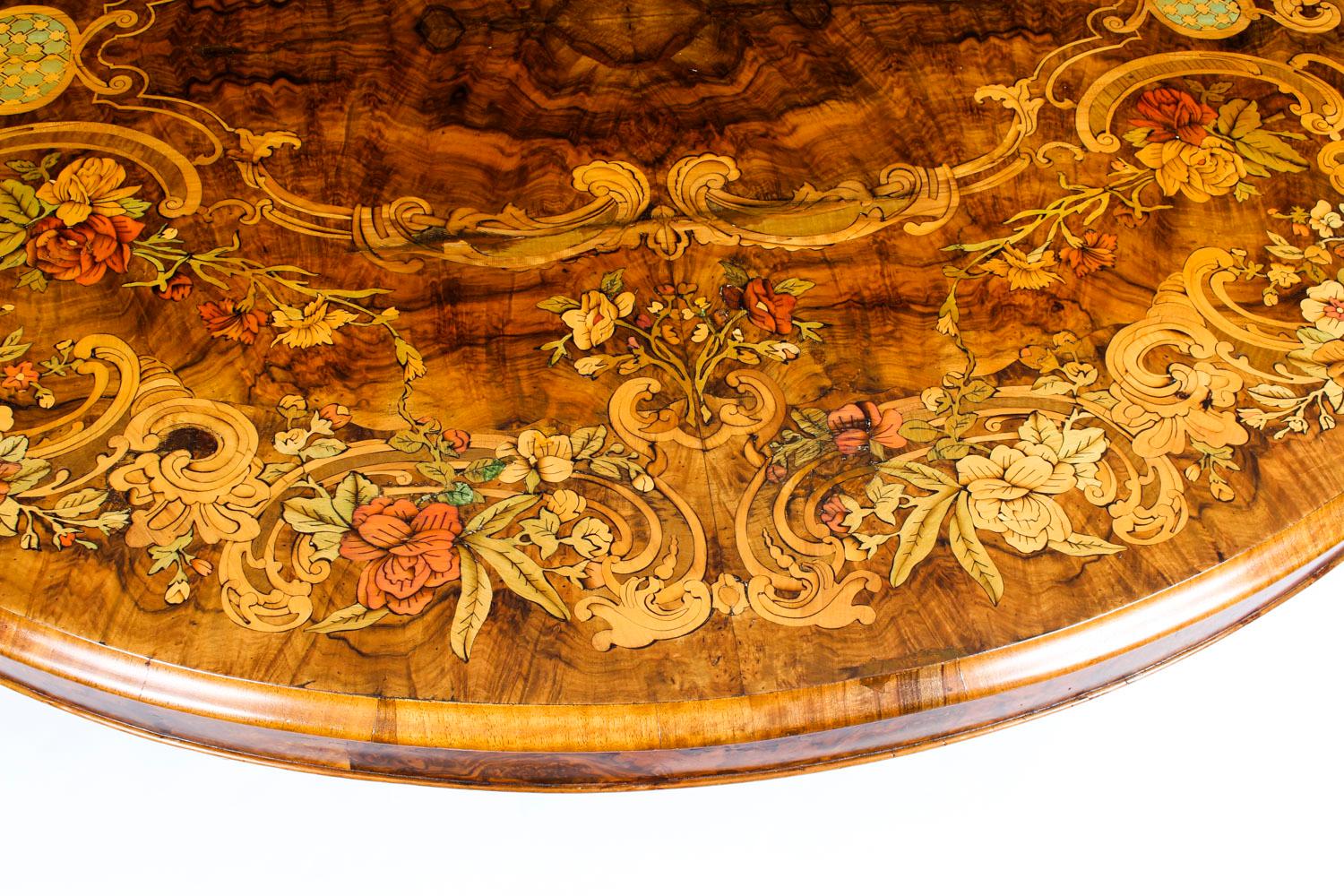 English Antique Burr Walnut Marquetry Oval Coffee Table, 19th Century