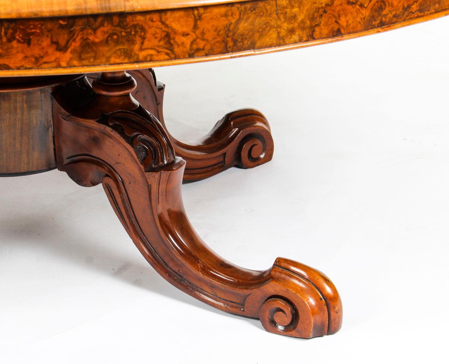 Mid-19th Century Antique Burr Walnut Marquetry Oval Coffee Table, 19th Century
