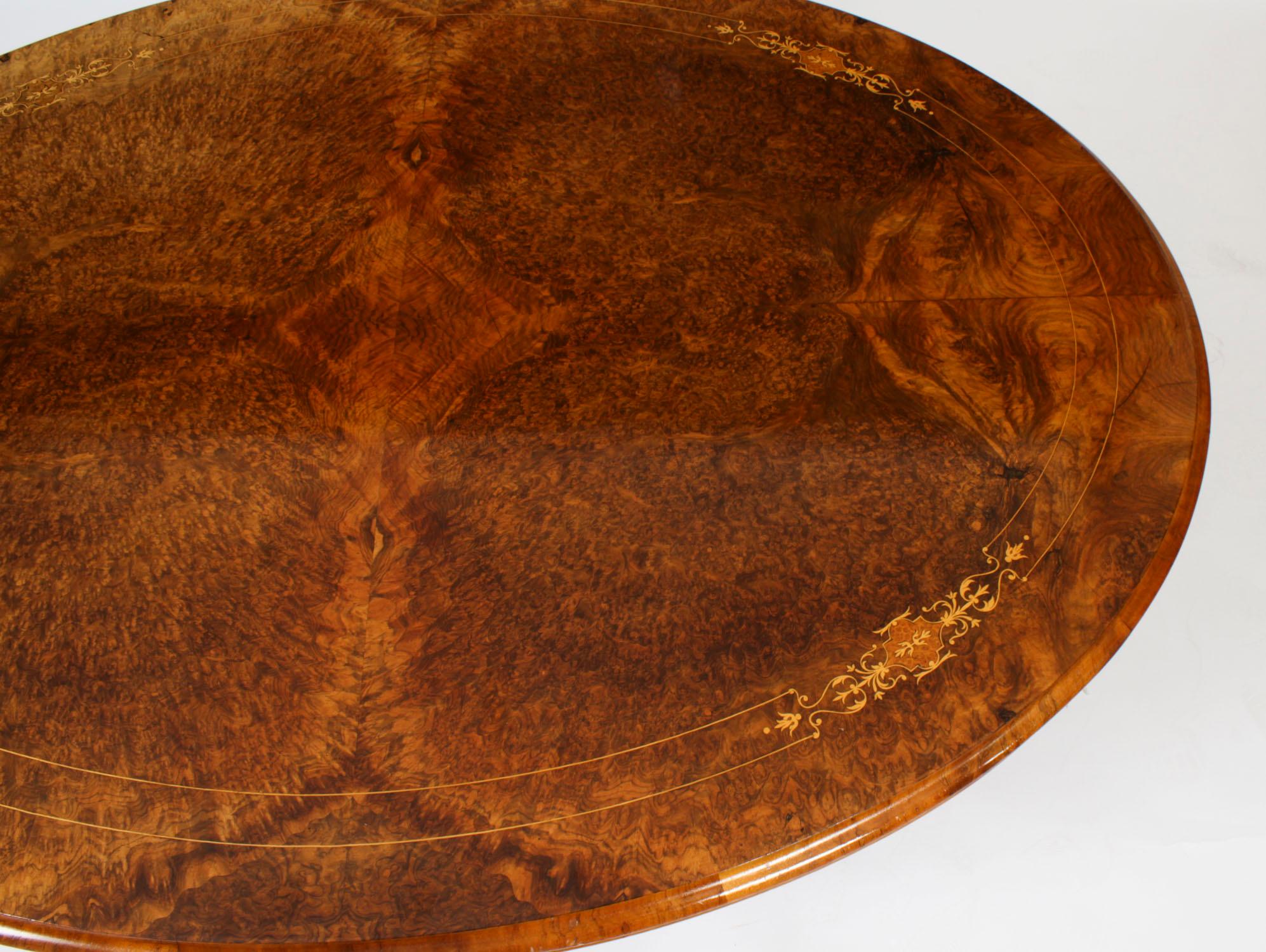 Antique Burr Walnut & Marquetry Oval Coffee Table Circa 19th Century For Sale 4