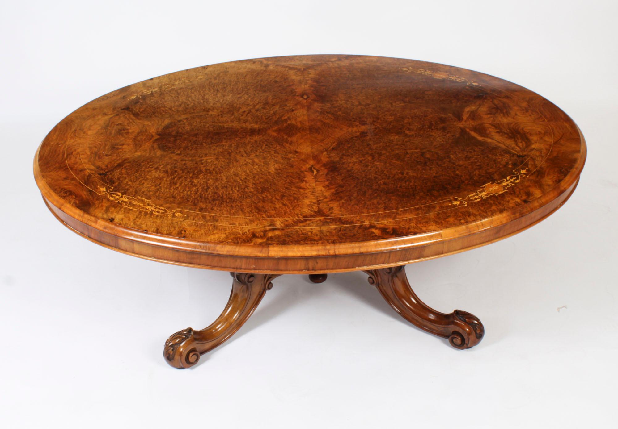 Voici une superbe table basse victorienne en ronce de noyer et marqueterie, datant d'environ 1860.

Le plateau de la table est de forme ovale et présente une ronce de noyer merveilleusement figurée avec de superbes incrustations de buis et de