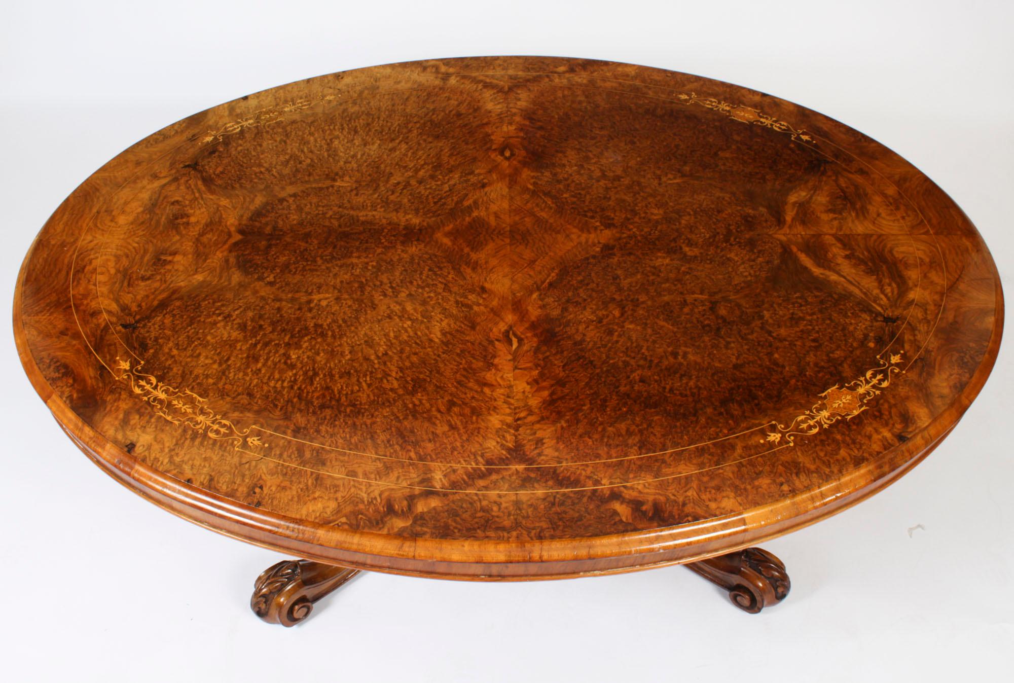English Antique Burr Walnut & Marquetry Oval Coffee Table Circa 19th Century For Sale