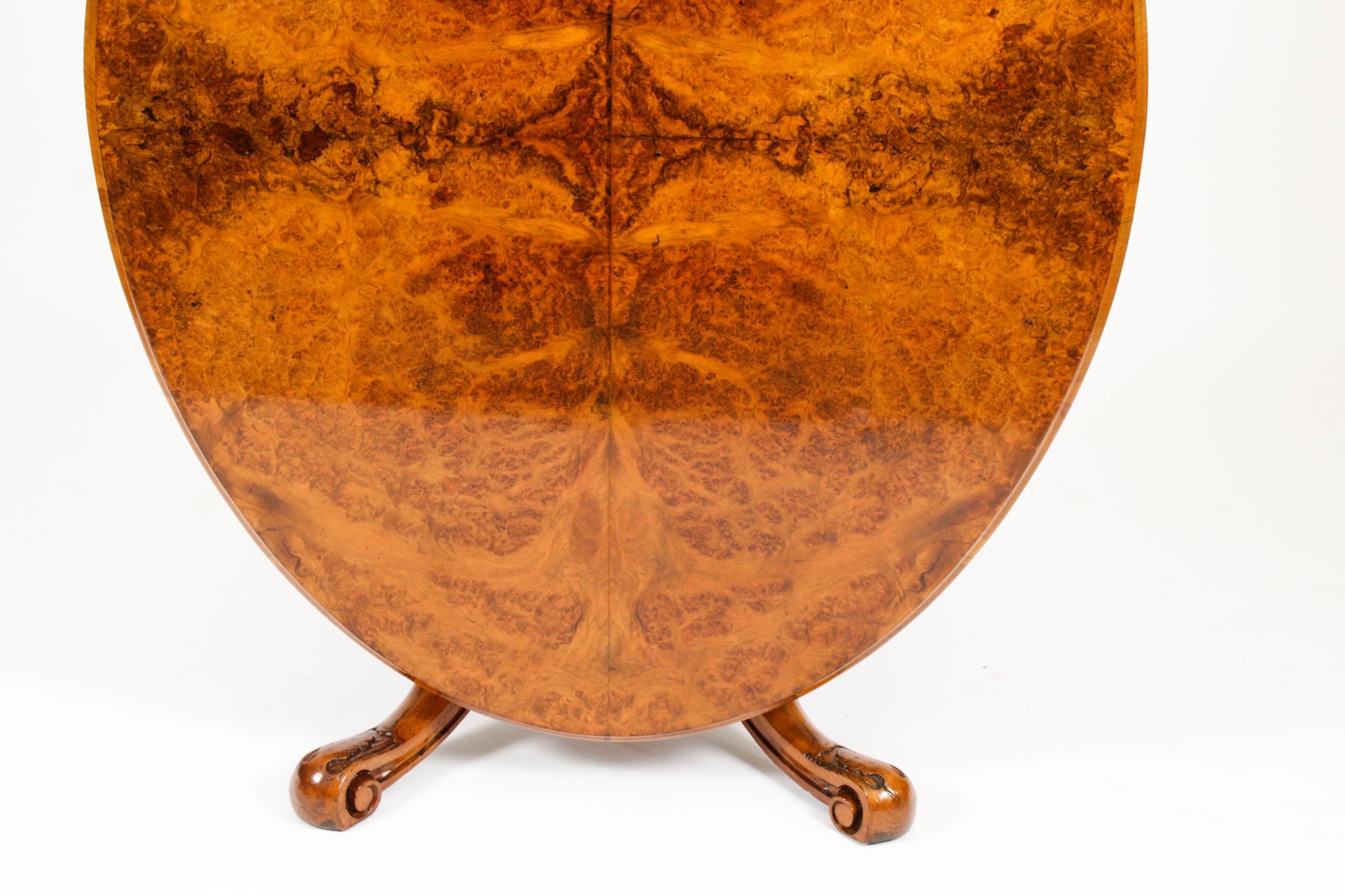 Ancienne table basse ovale en ronce de noyer 1860s 19ème siècle en vente 9