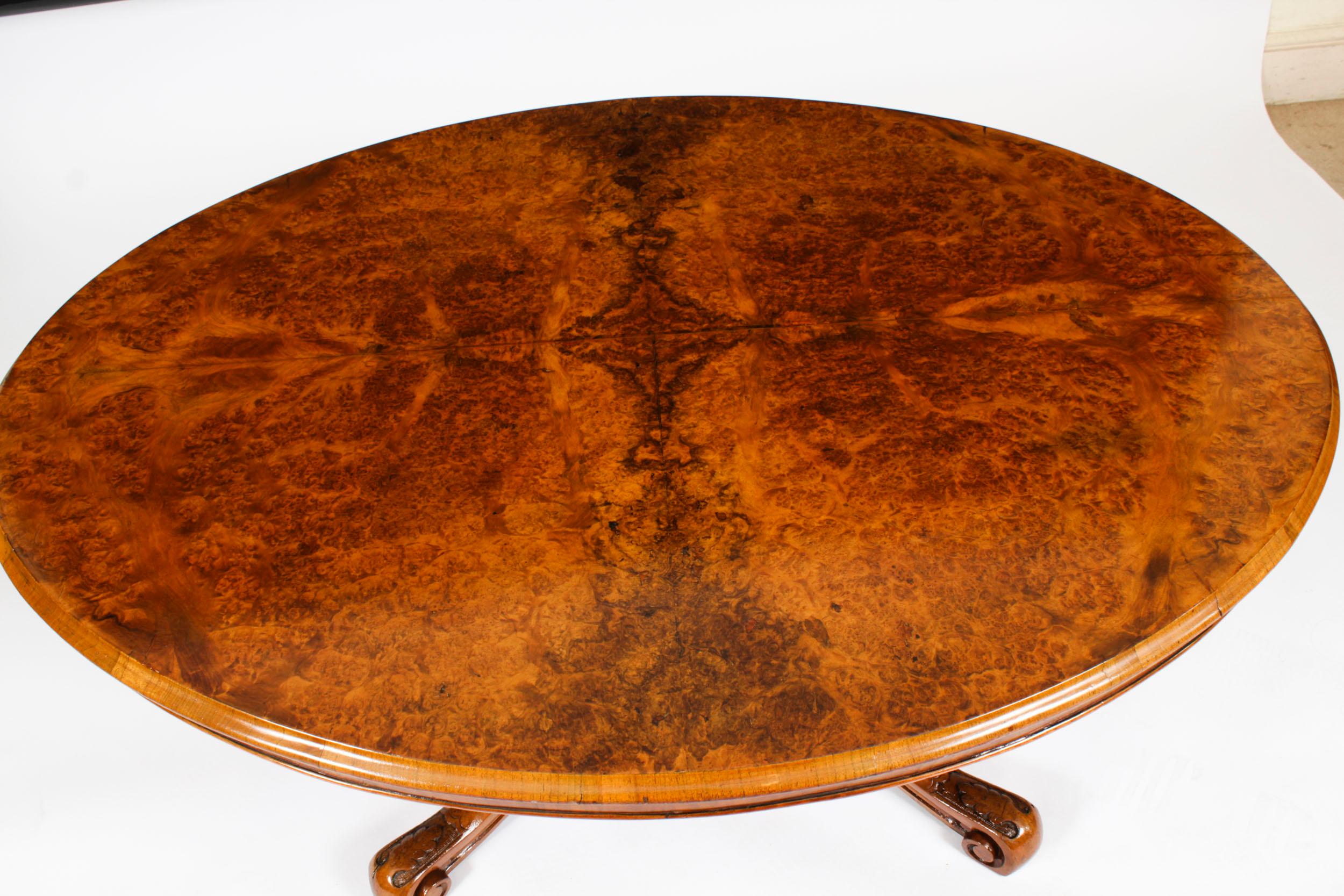 Milieu du XIXe siècle Ancienne table basse ovale en ronce de noyer 1860s 19ème siècle en vente