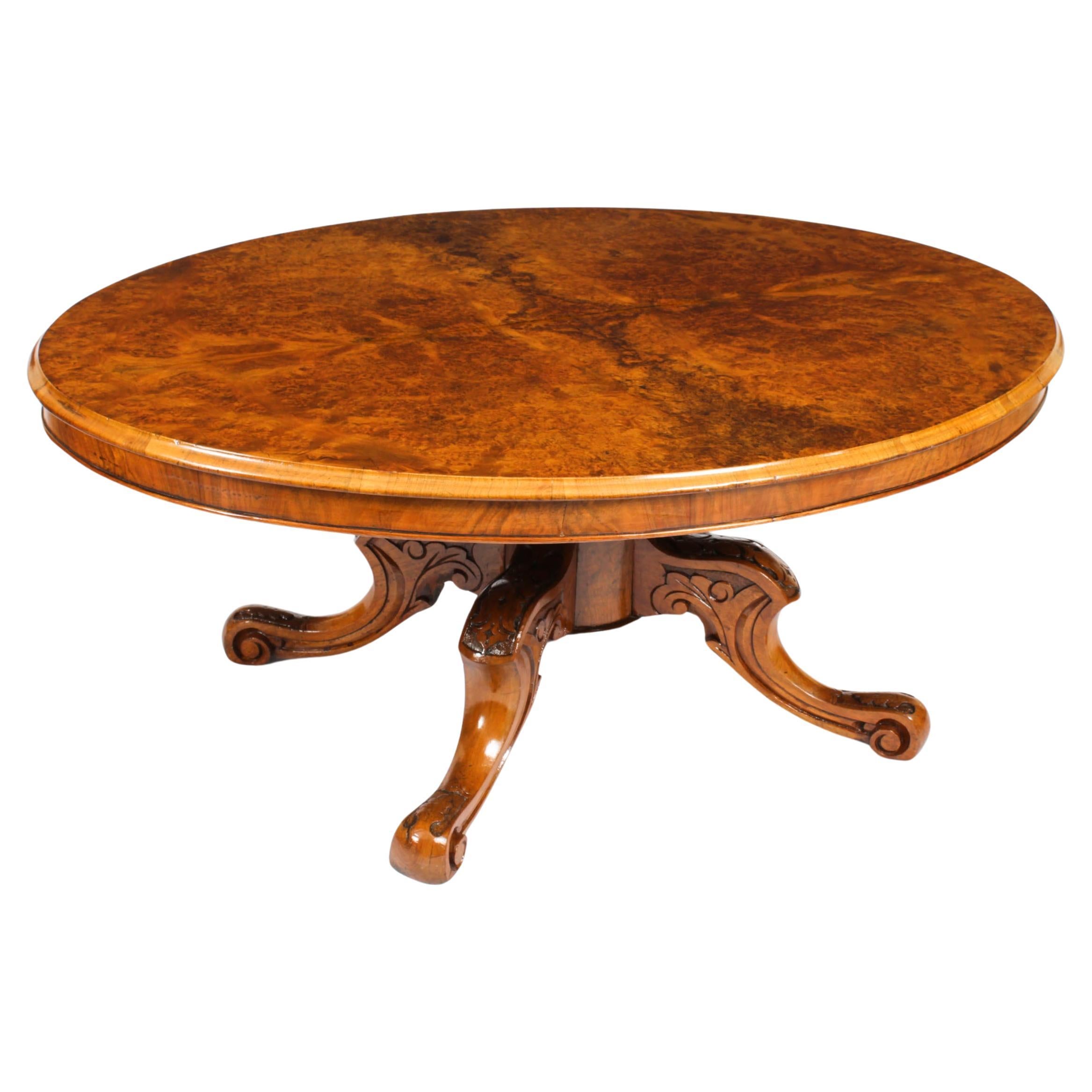 Ancienne table basse ovale en ronce de noyer 1860s 19ème siècle en vente